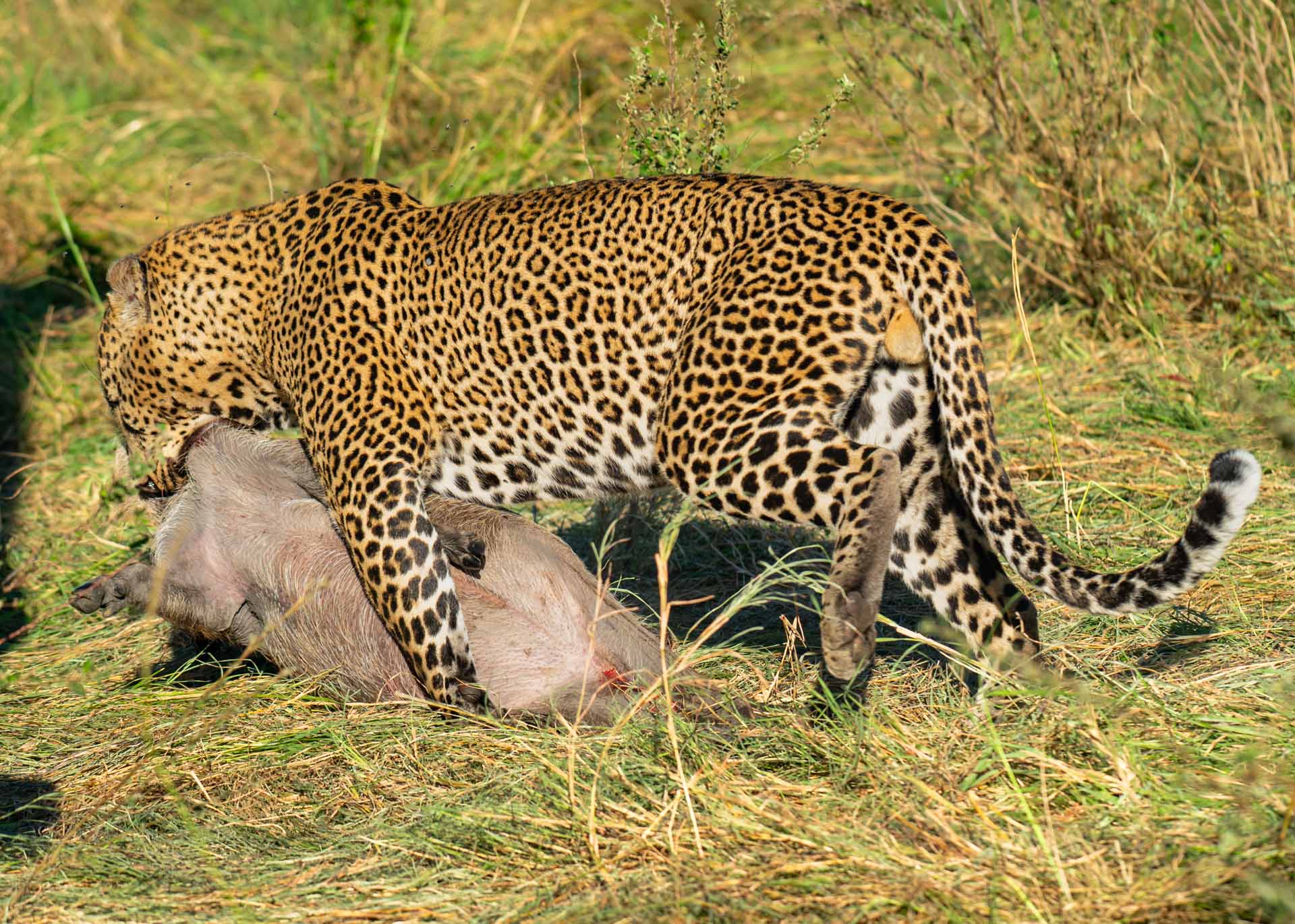 F5.6,1/1000, IS0320 | Arnold Omondi 