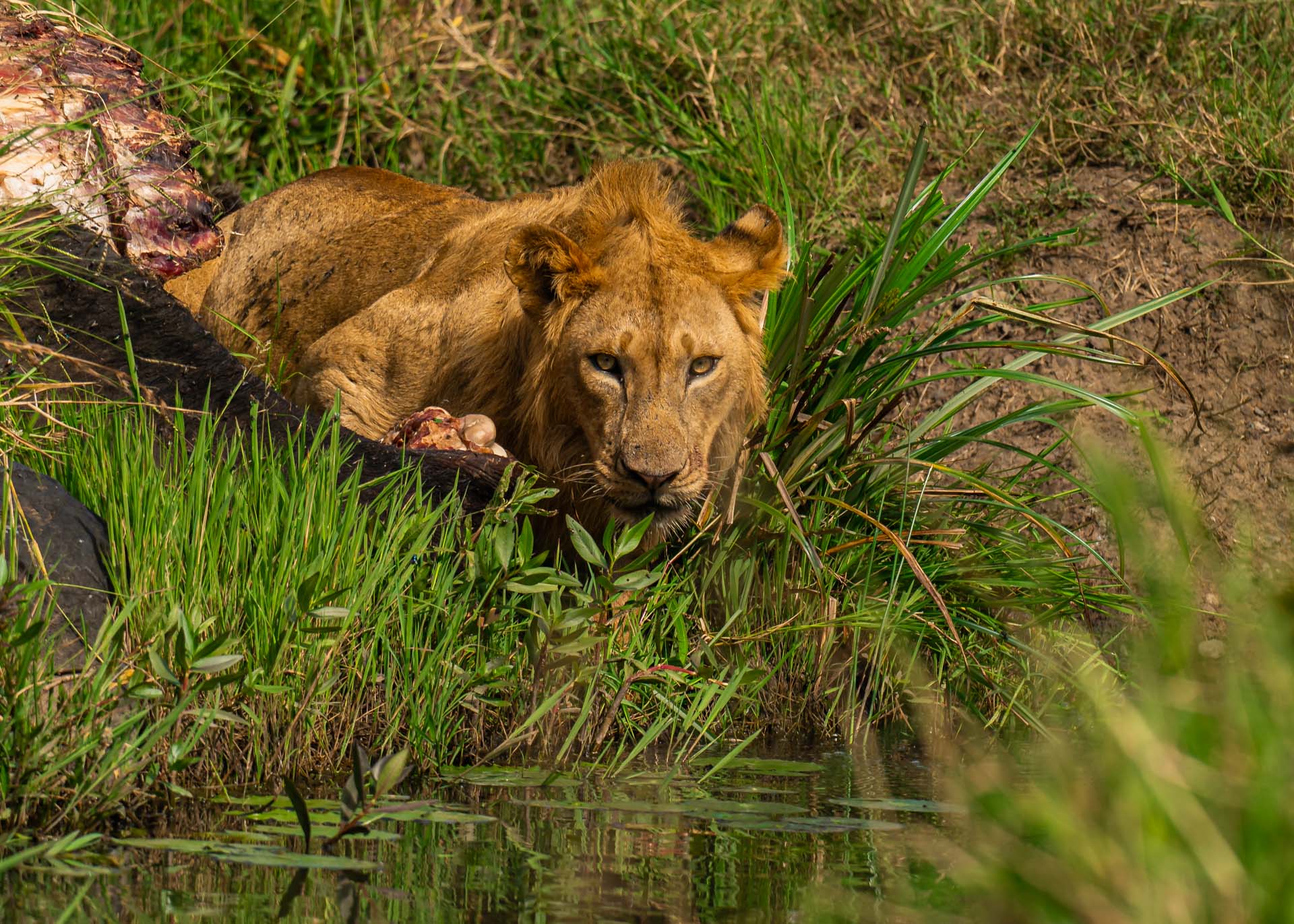 F6.0,1/1000, IS0200 | Arnold Omondi 