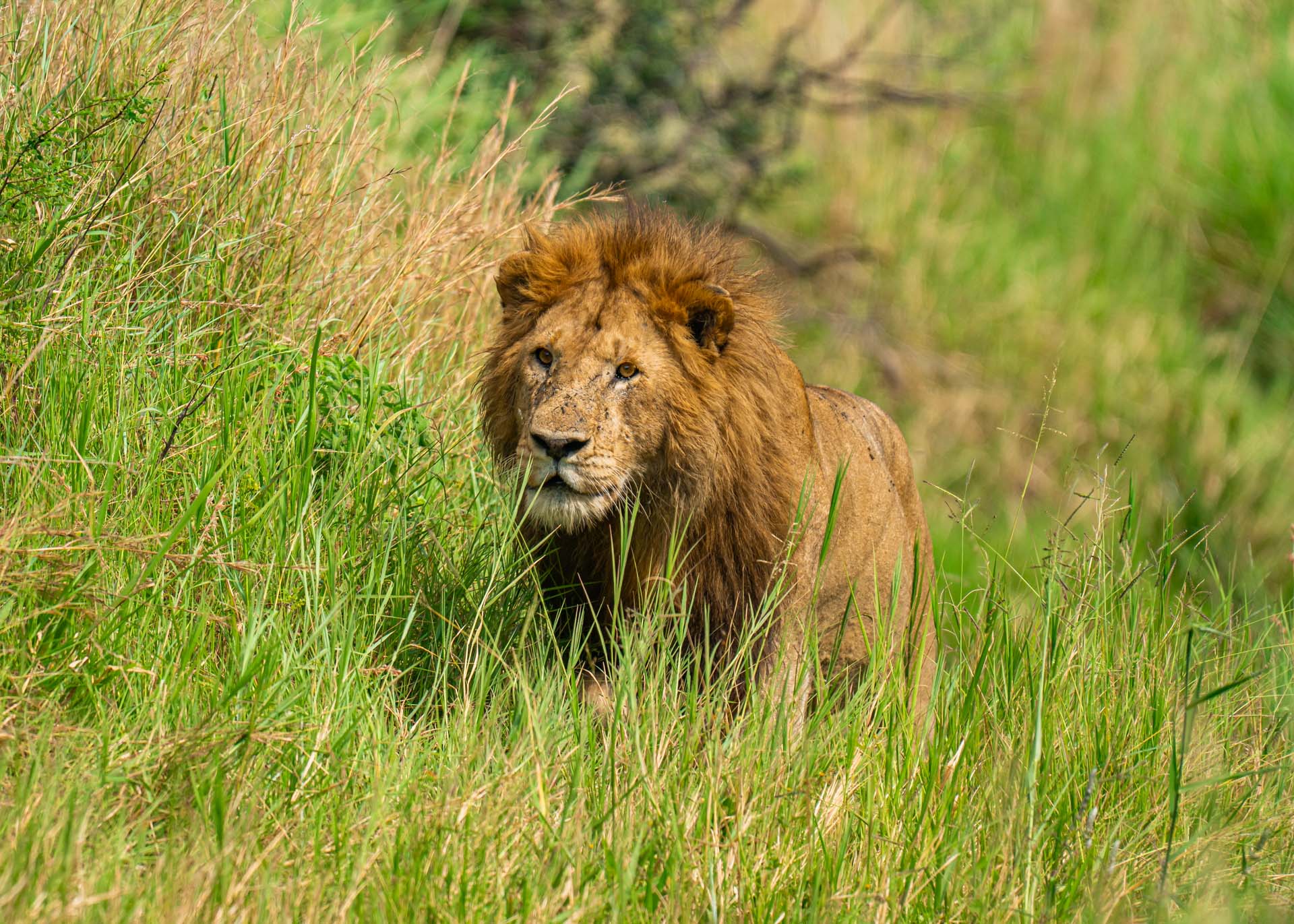 F6.3,1/1000, IS0200 | Arnold Omondi 