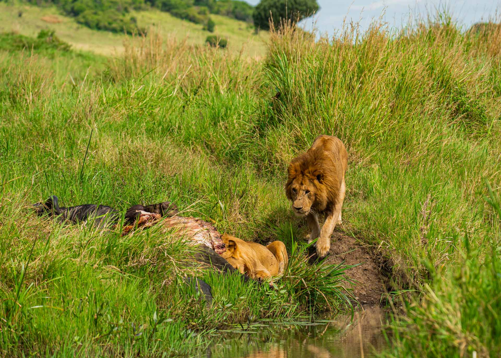 F5.6,1/1000, IS0200 | Arnold Omondi 