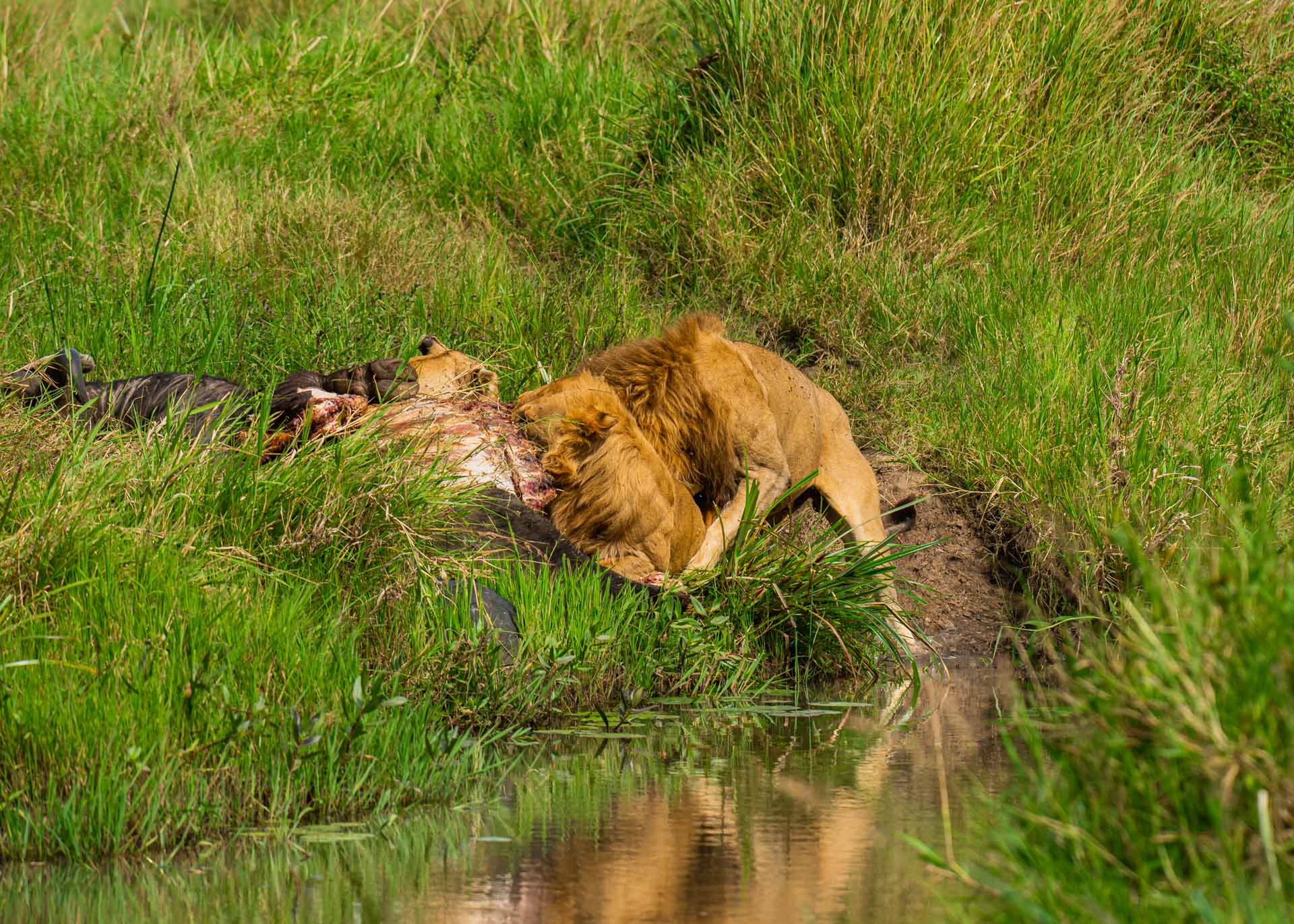 F5.6,1/1000, IS0200 | Arnold Omondi 