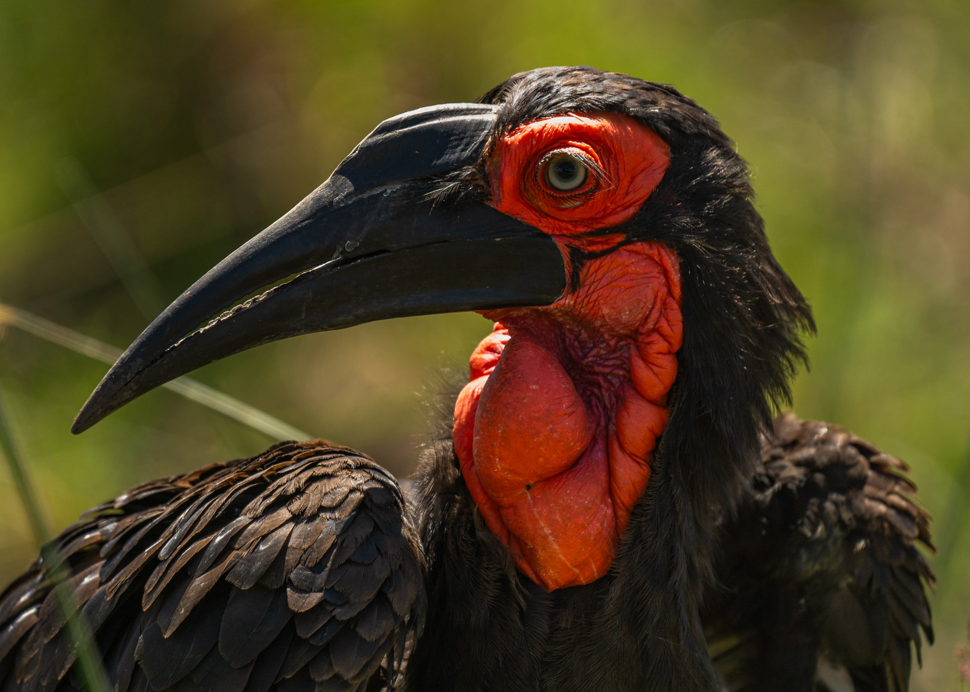 F6.3,1/1000, IS0250 | Arnold Omondi 