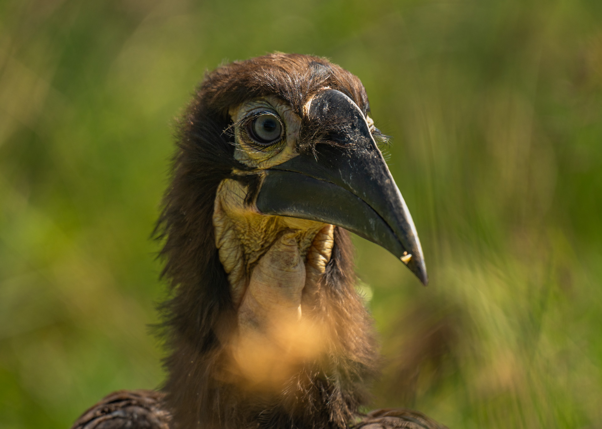 F6.3,1/1000, IS0250 | Arnold Omondi 