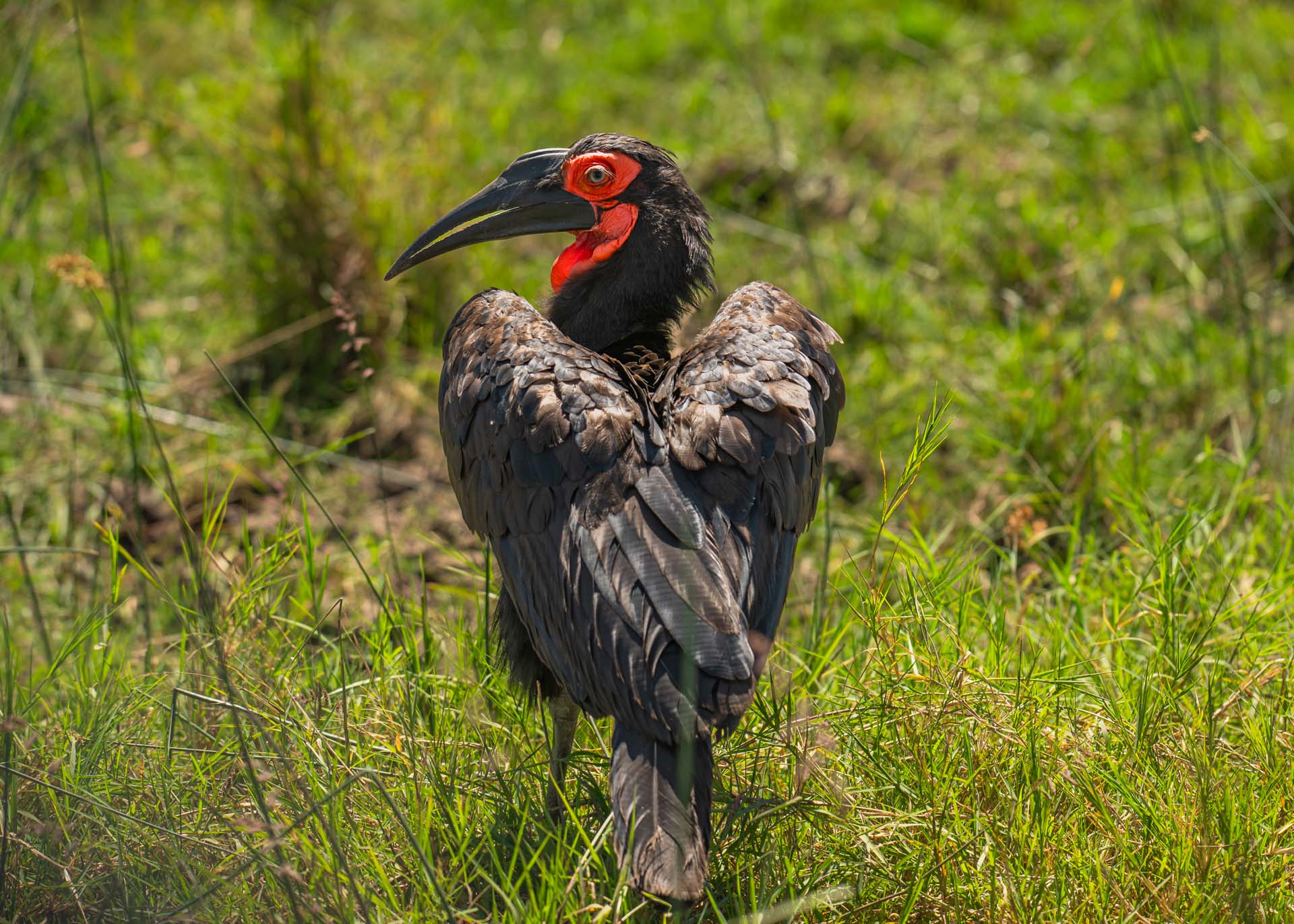 F5.6,1/1000, IS0320 | Arnold Omondi 