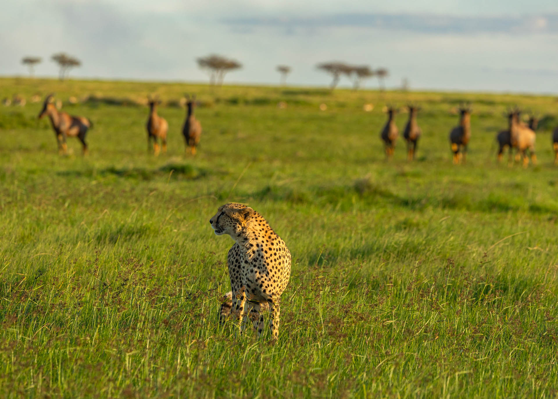 F7.1,1/1000, IS0500 | Arnold Omondi 