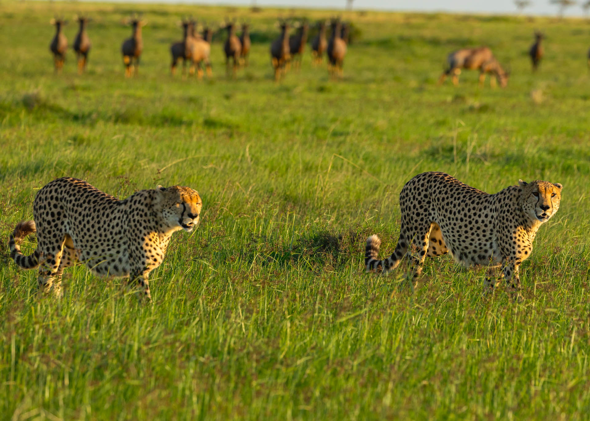 F7.1,1/1000, IS0500 | Arnold Omondi 