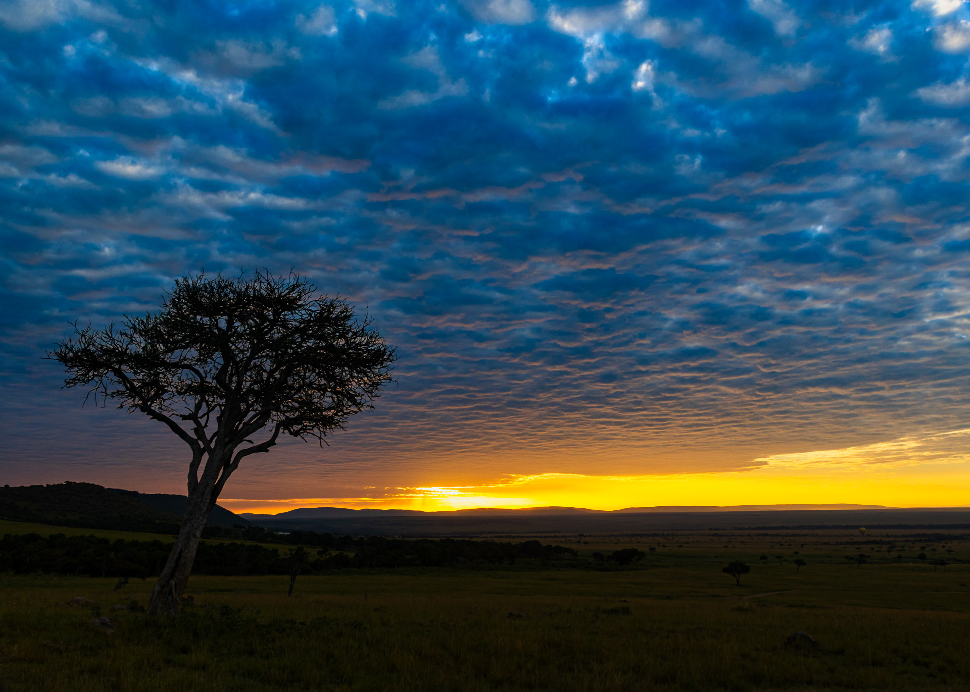 F11,1/80, IS0100 | Arnold Omondi 