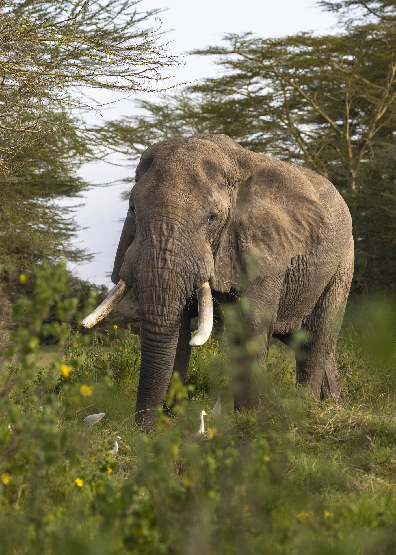 F7.1, 1/400, ISO250 | Arnold Omondi