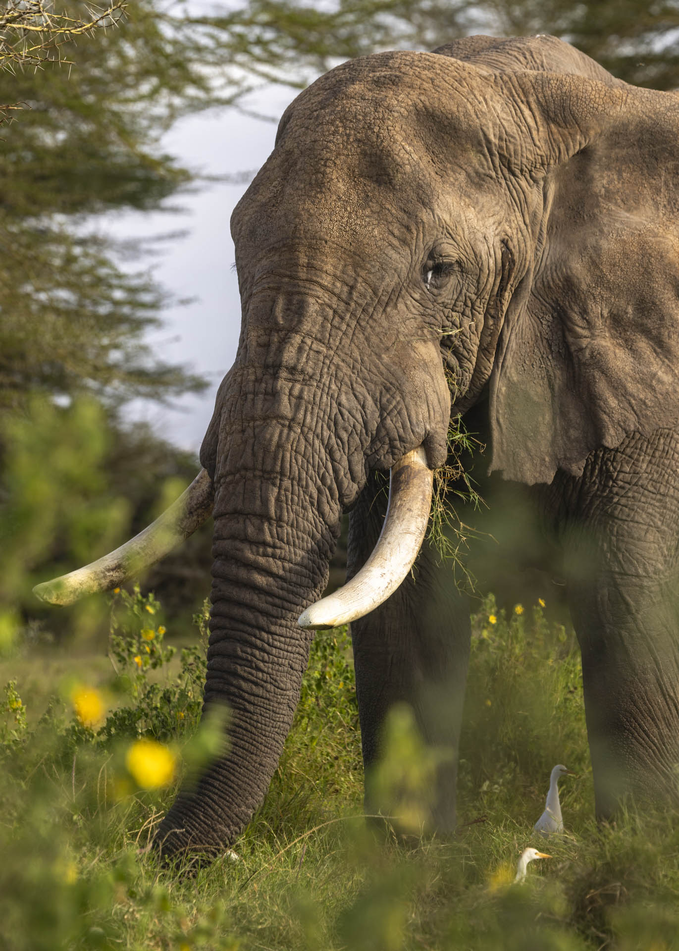 F7.1, 1/400, ISO250 | Arnold Omondi