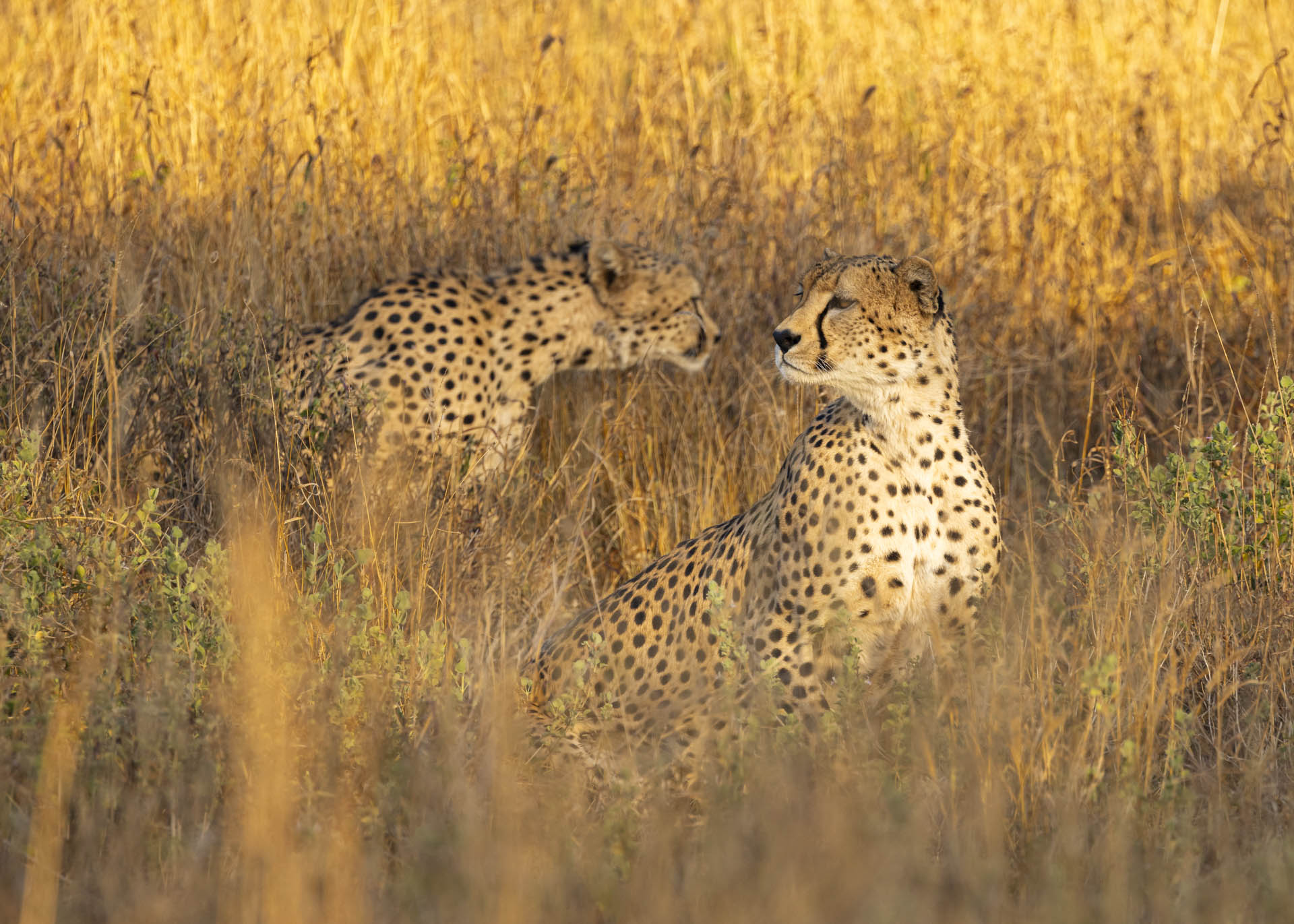 F7.1, 1/400, ISO500 | Arnold Omondi