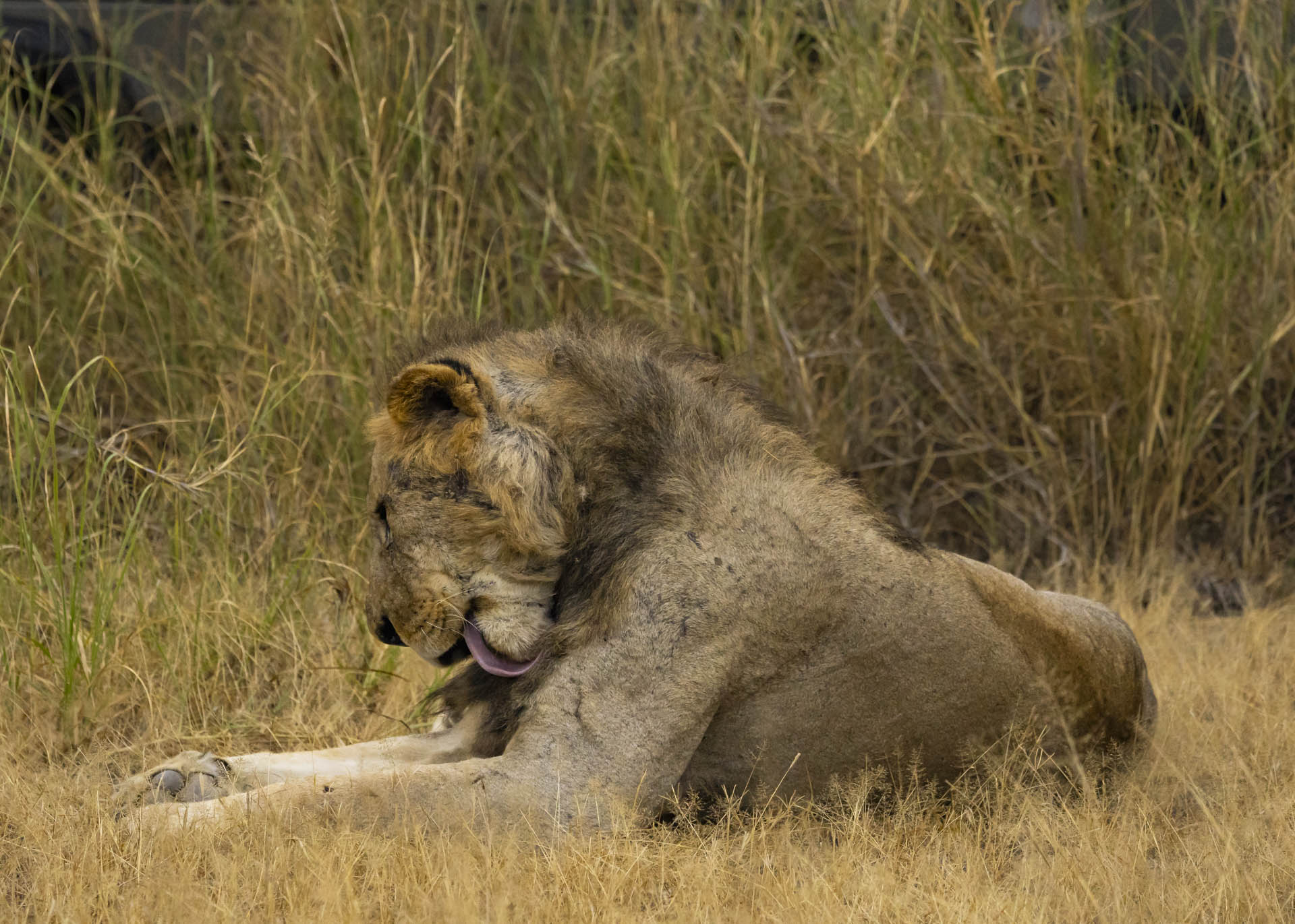 F7.1, 1/1000, ISO3200 | Arnold Omondi