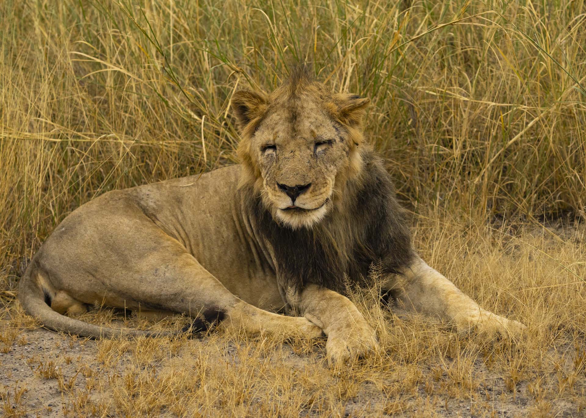 F5.0, 1/1000, ISO2000 | Arnold Omondi