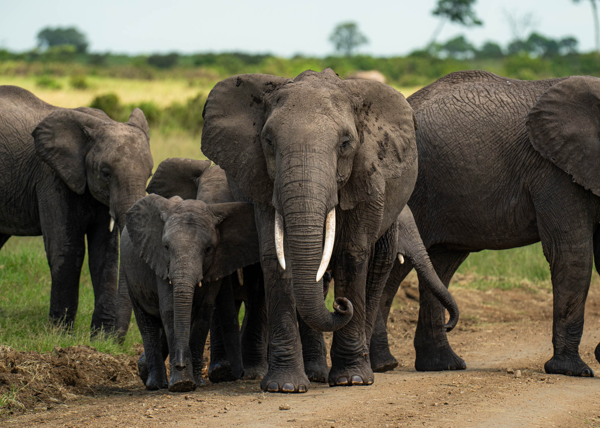 F6.3,1/1000, IS0250 | Arnold Omondi 