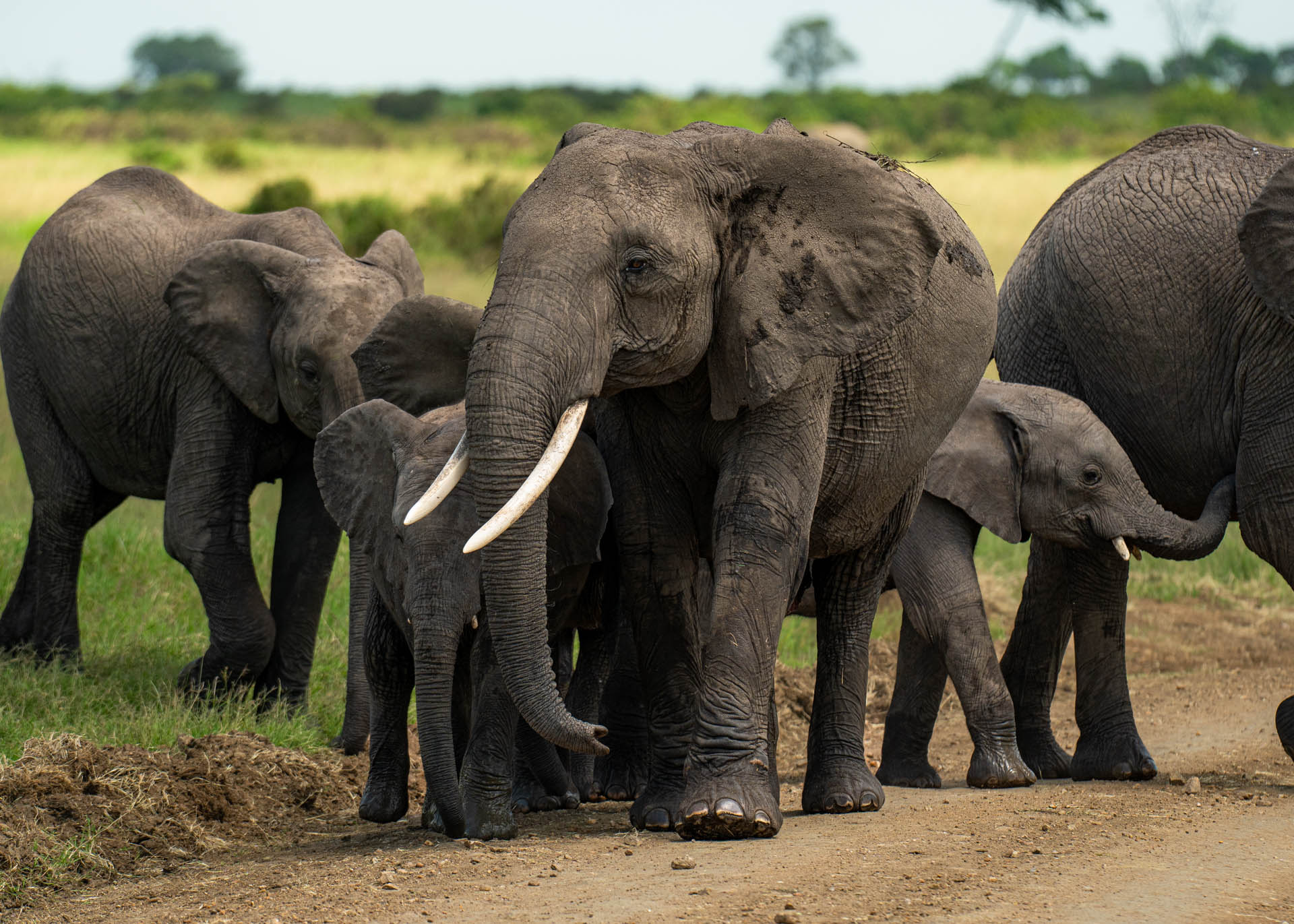 F6.3,1/1000, IS0250 | Arnold Omondi 
