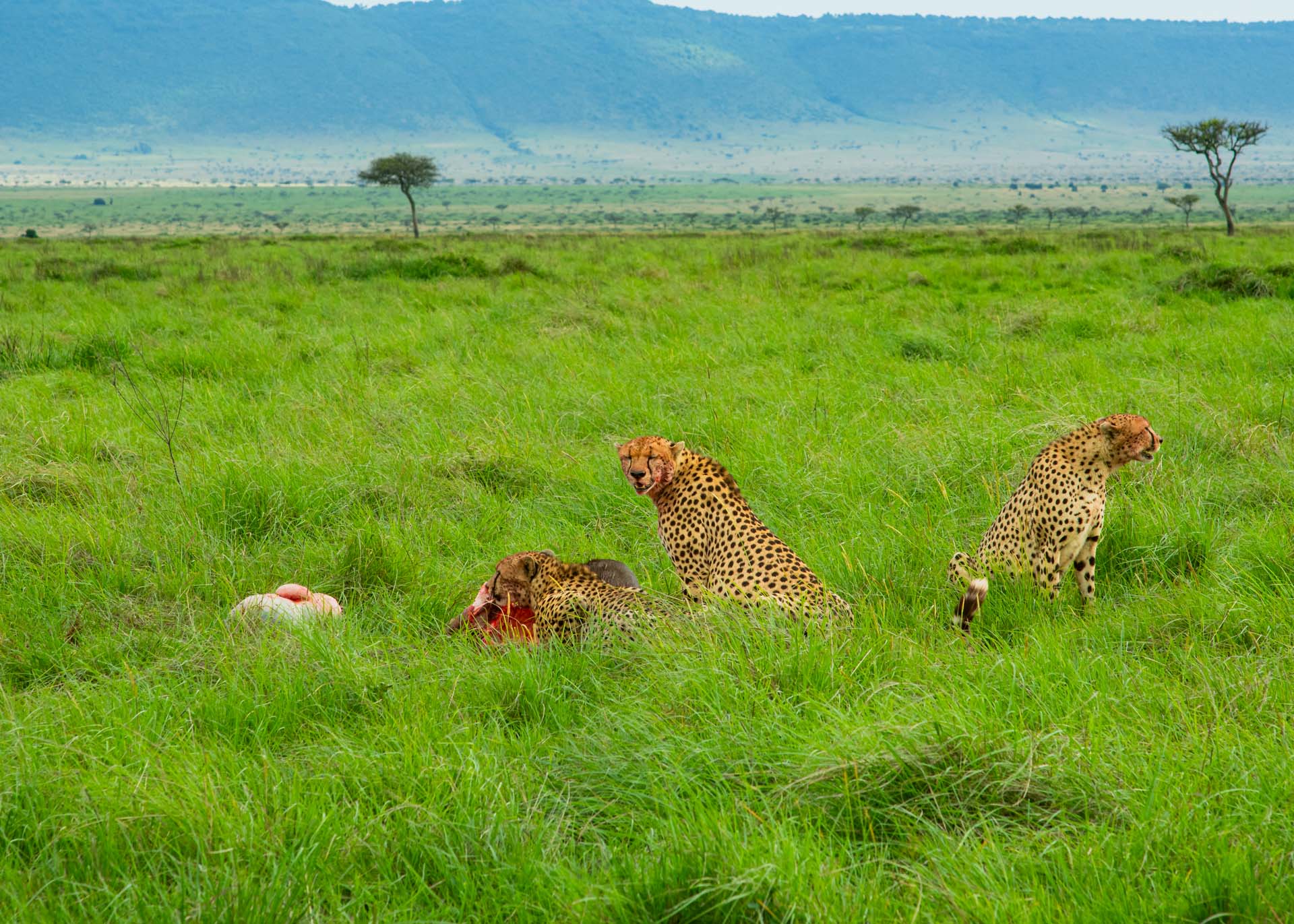F8.0, 1/500, ISO320 | Guide Jeremy Macharia