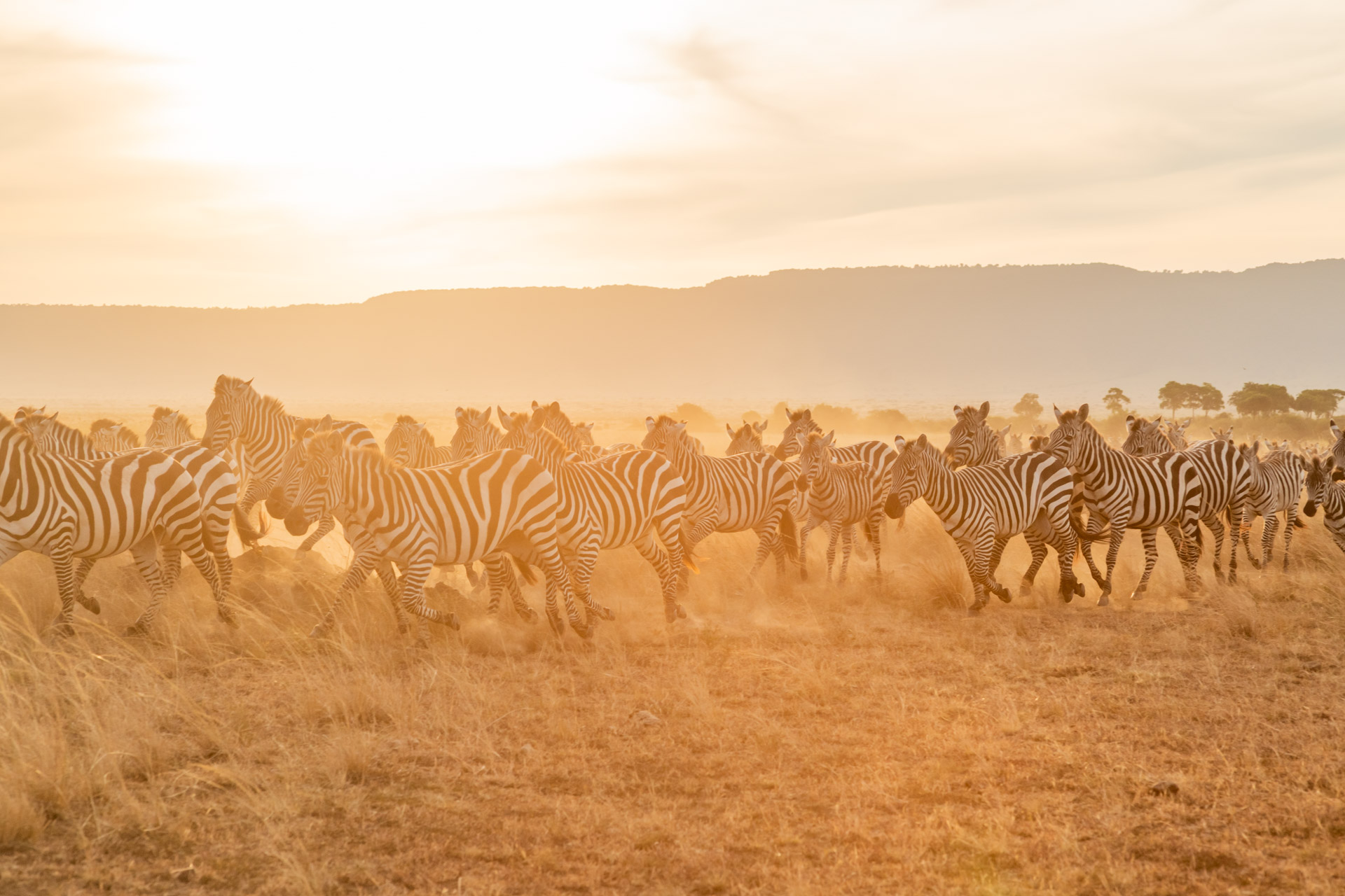 F 8, 1/640, IS0 400 | Guide Jeremy Macharia 