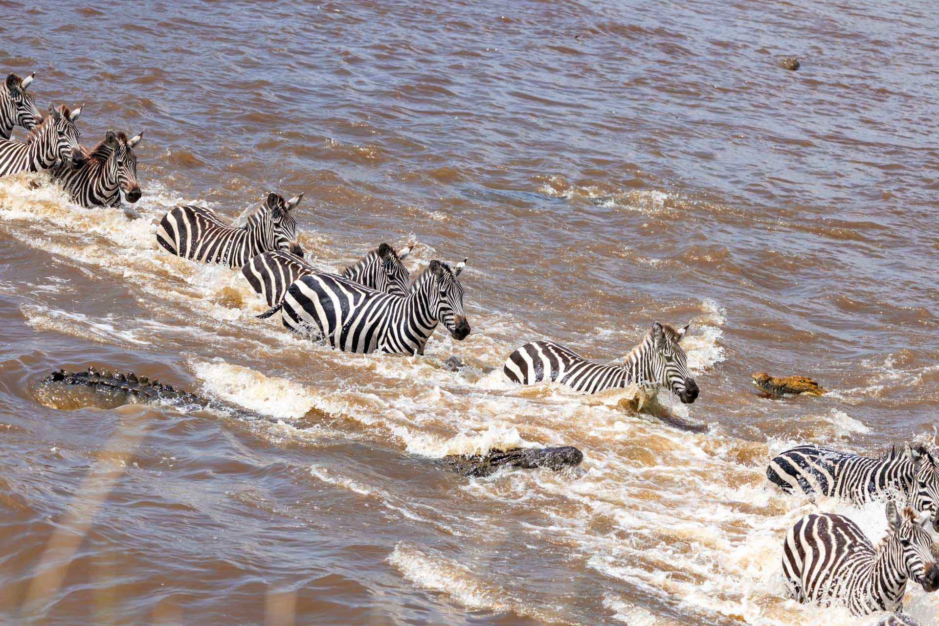Above: Brave soldiers of the Mara