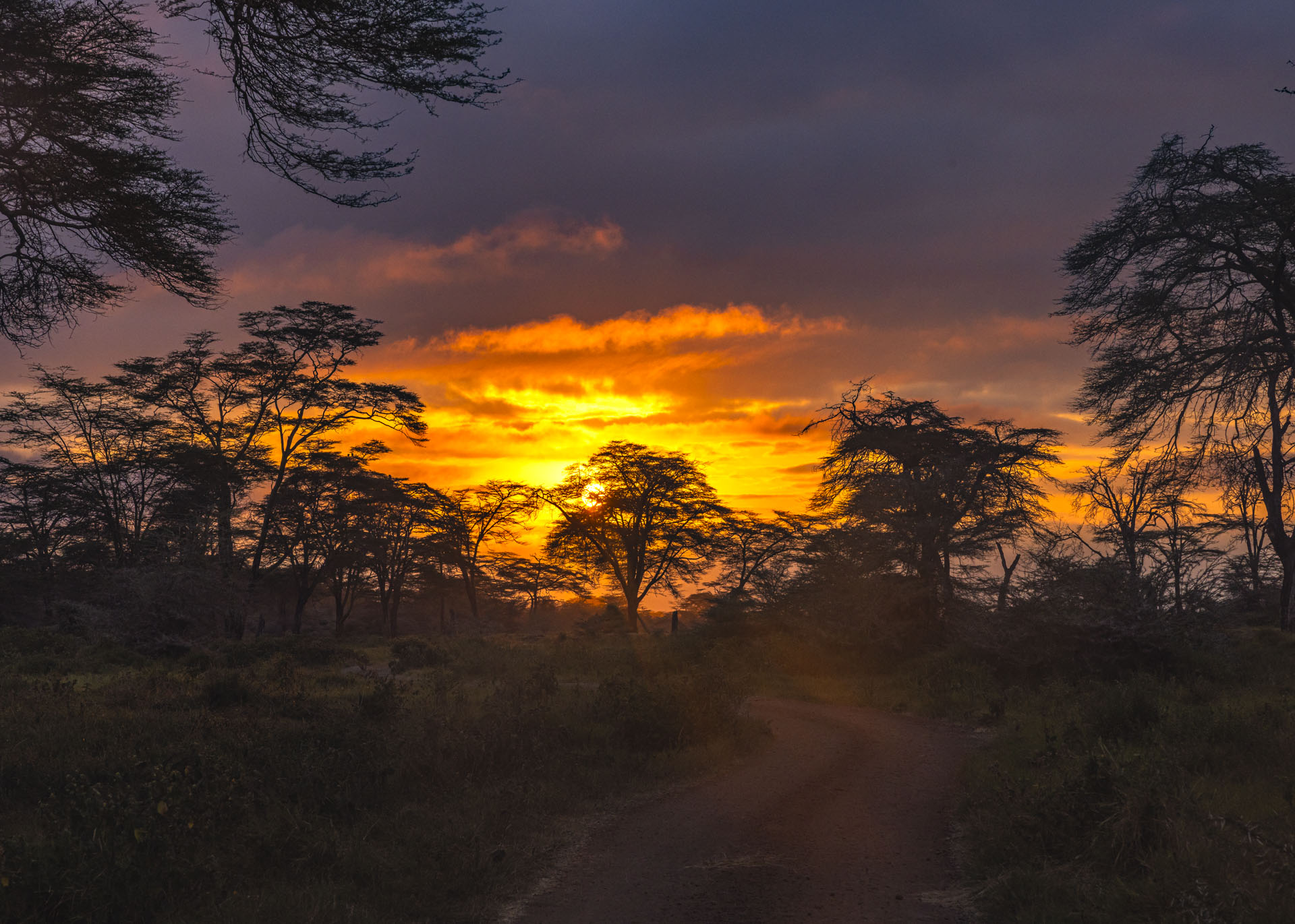 F11, 1/400, ISO500 | Arnold Omondi