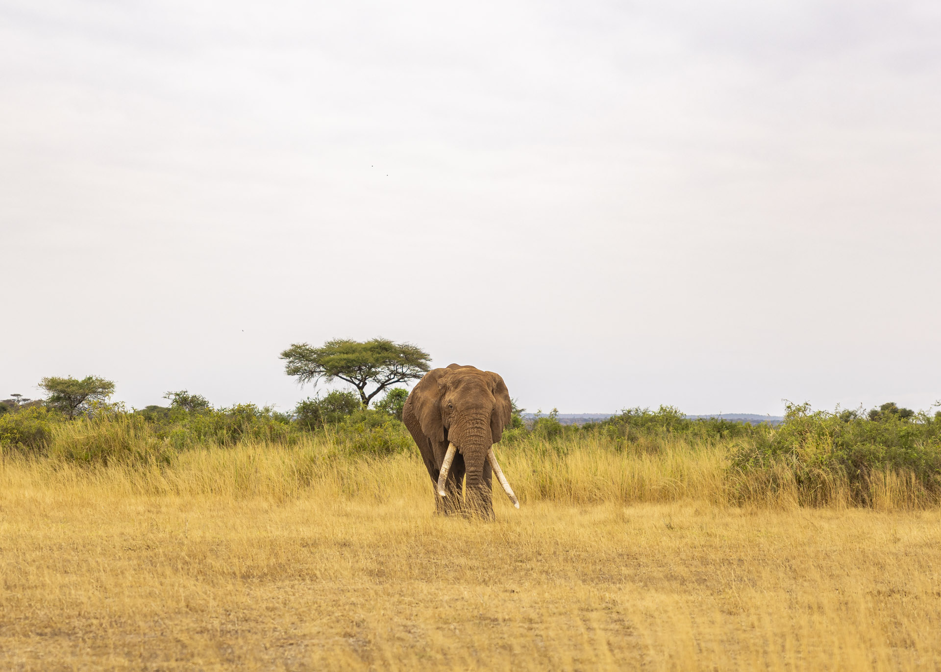 F2.8, 1/250, ISO160 | Arnold Omondi
