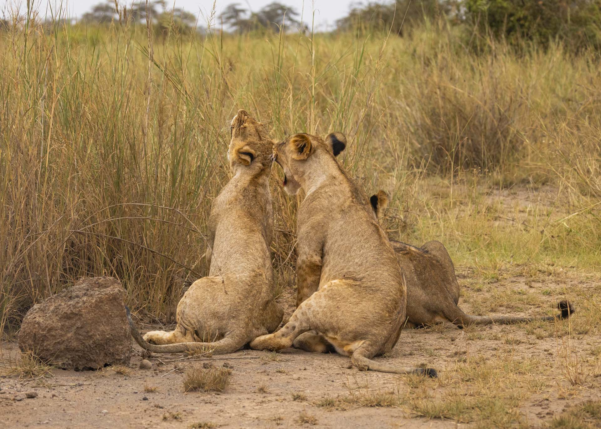 F6.3, 1/1000, ISO1250 | Arnold Omondi