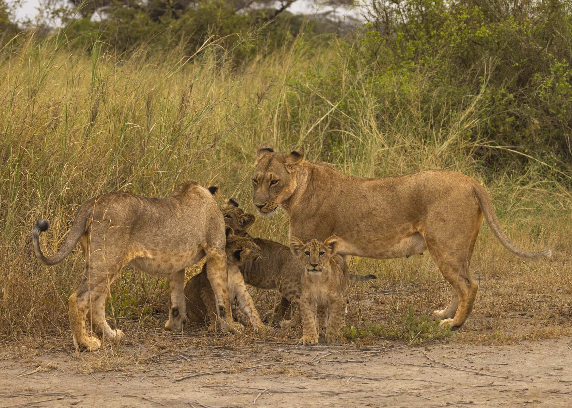 F6.3, 1/1000, ISO1250 | Arnold Omondi