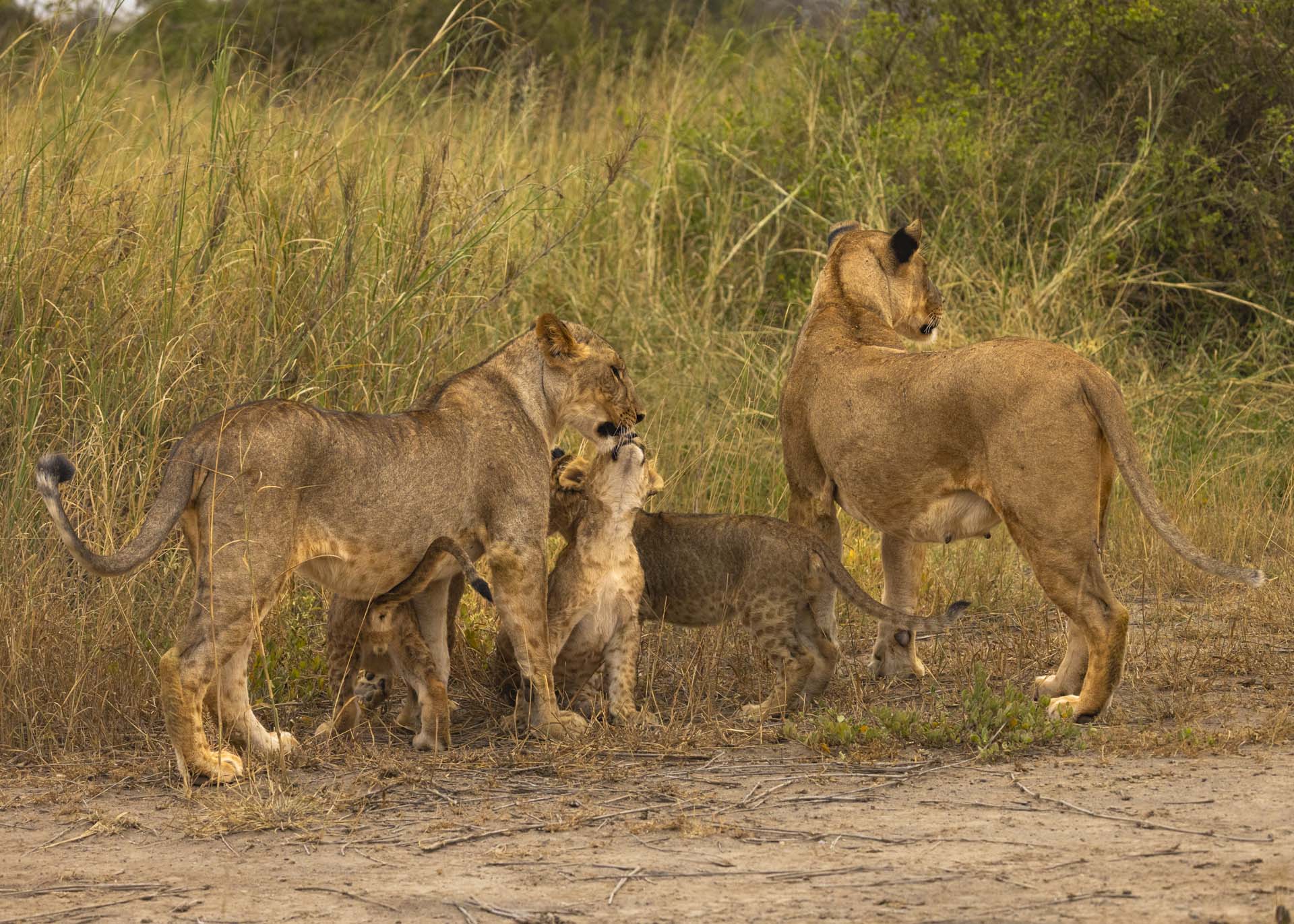 F6.3, 1/1000, ISO1250 | Arnold Omondi