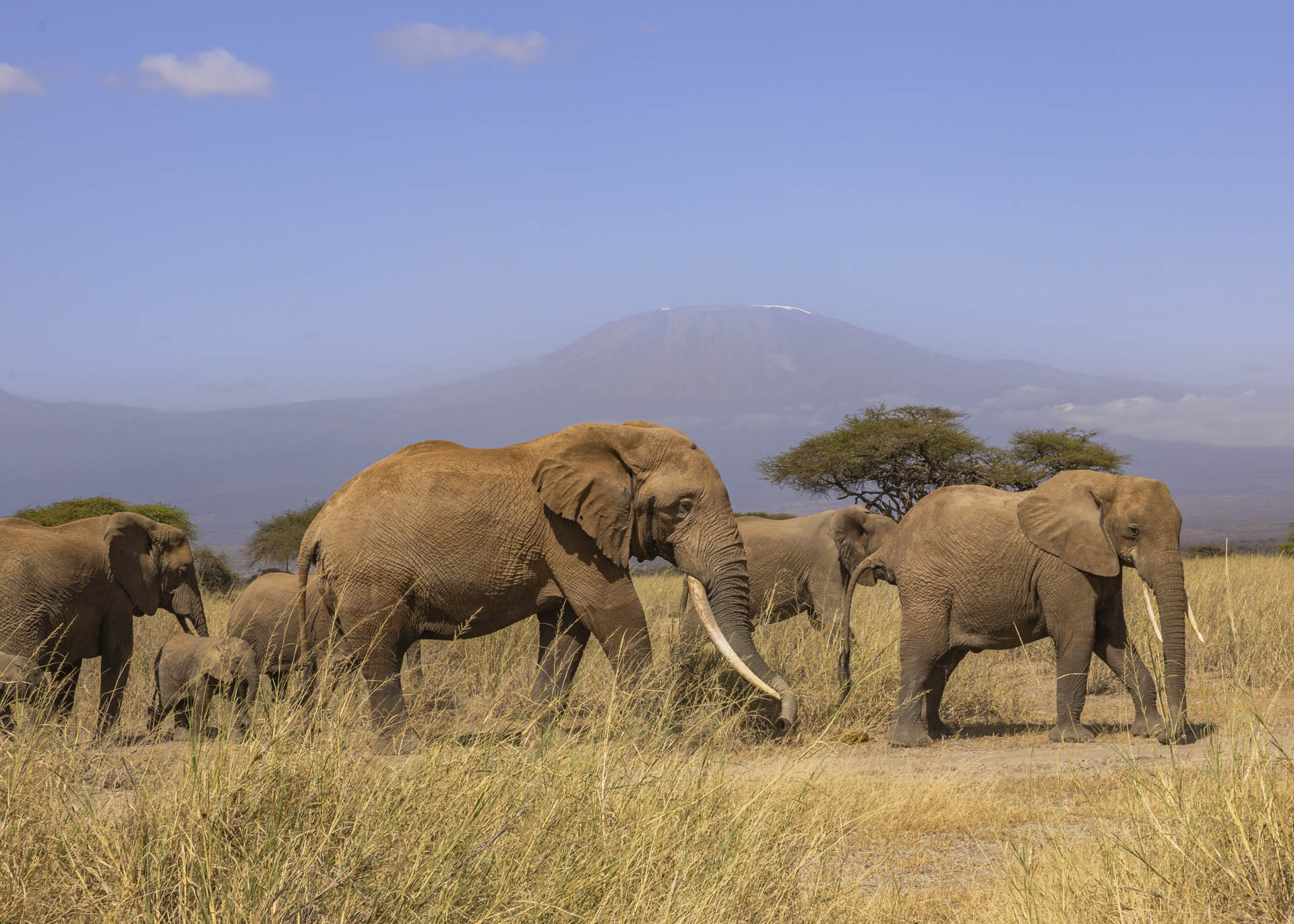 F14, 1/250, ISO160 | Arnold Omondi