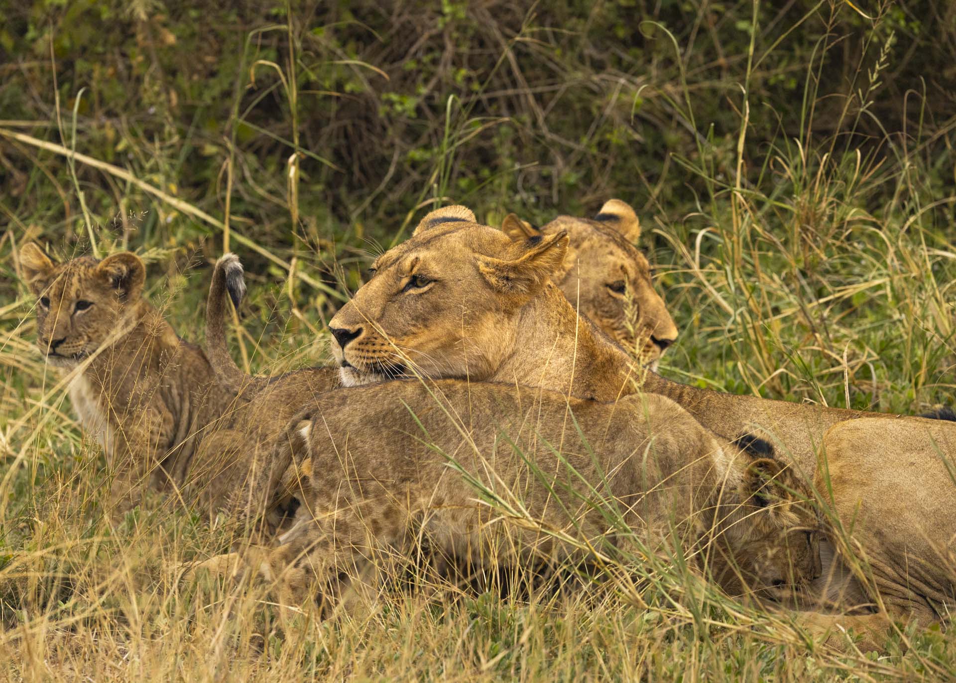 F6.3, 1/1000, ISO1250 | Arnold Omondi