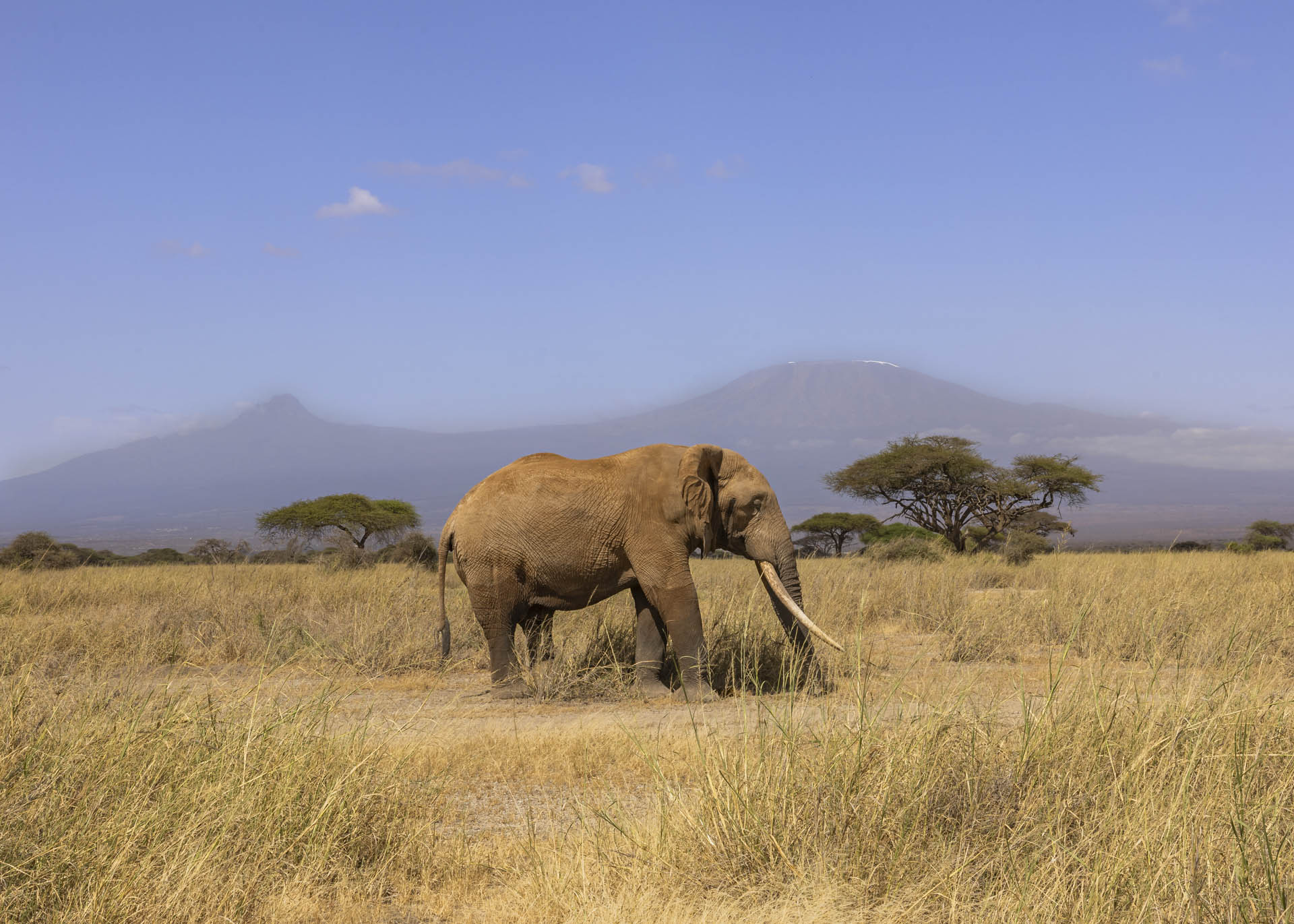 F14, 1/250, ISO260 | Arnold Omondi
