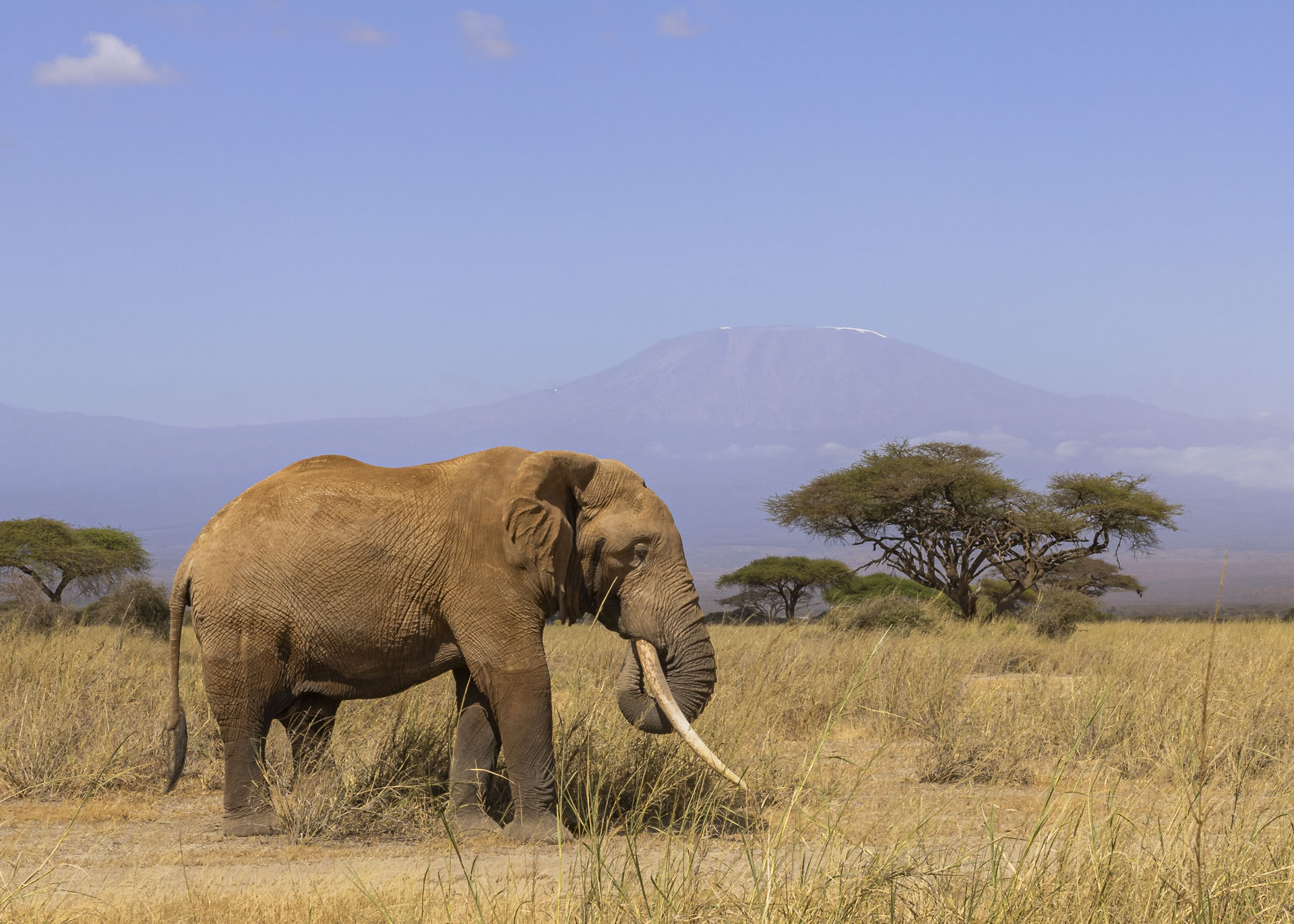 F14, 1/250, ISO260 | Arnold Omondi