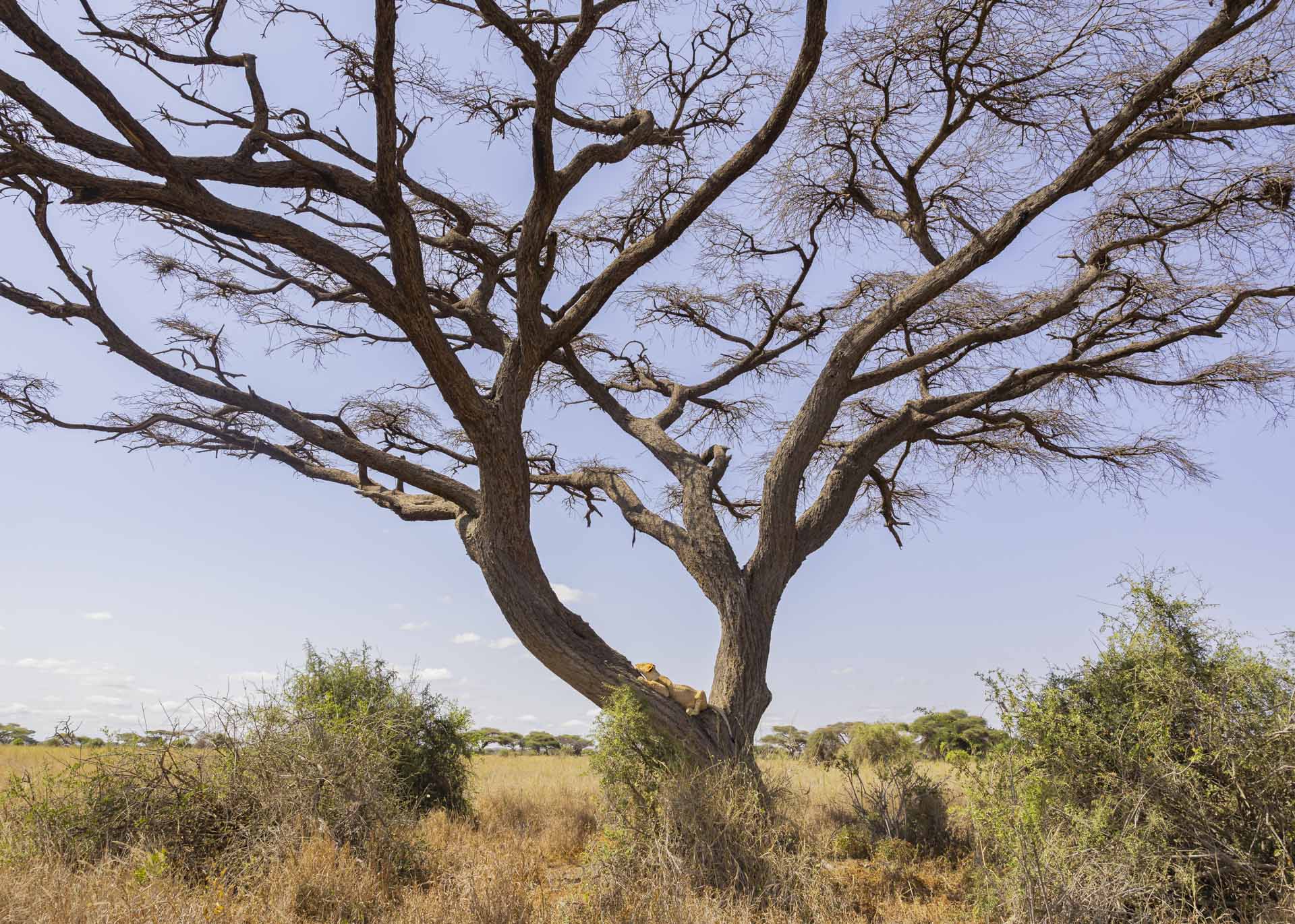 F7.1, 1/800, ISO400 | Arnold Omondi