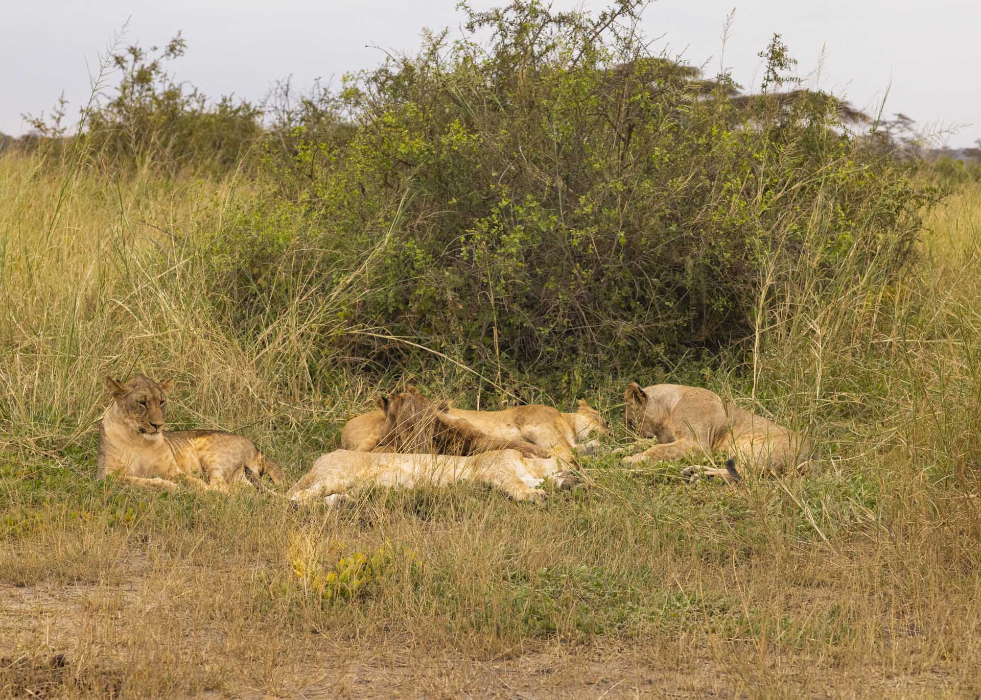 F5.6, 1/1000, ISO1600 | Arnold Omondi
