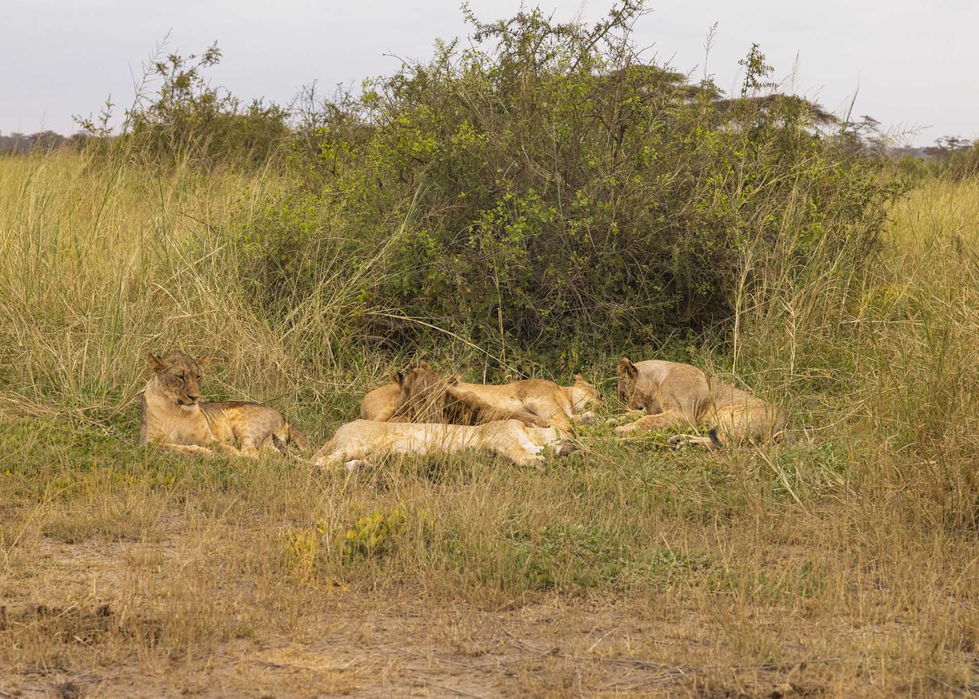 F5.6, 1/1000, ISO1600 | Arnold Omondi