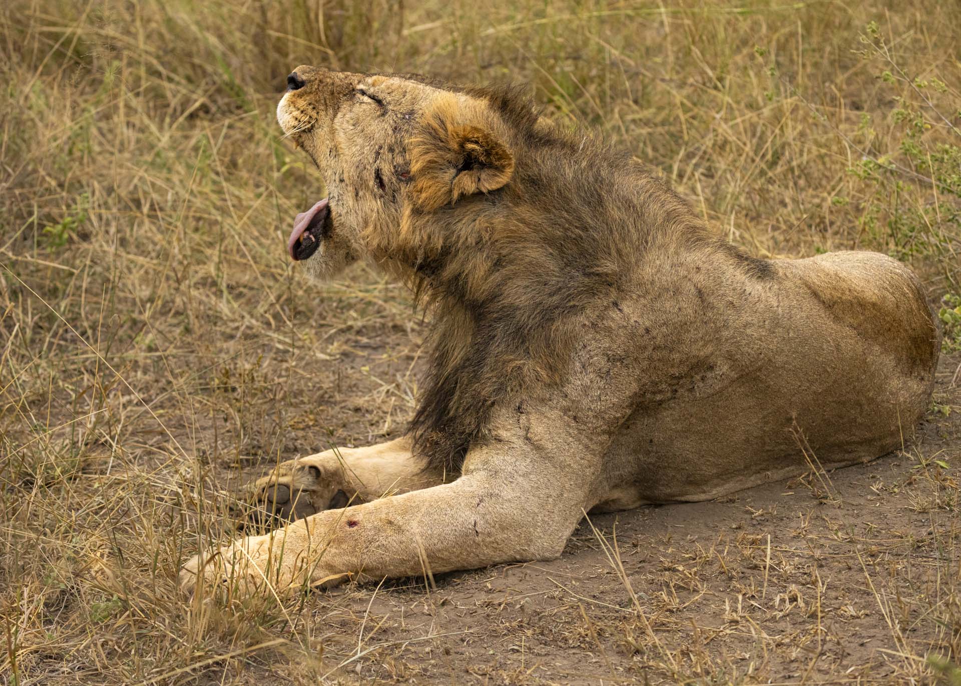 F4.5, 1/1000, ISO3200 | Arnold Omondi