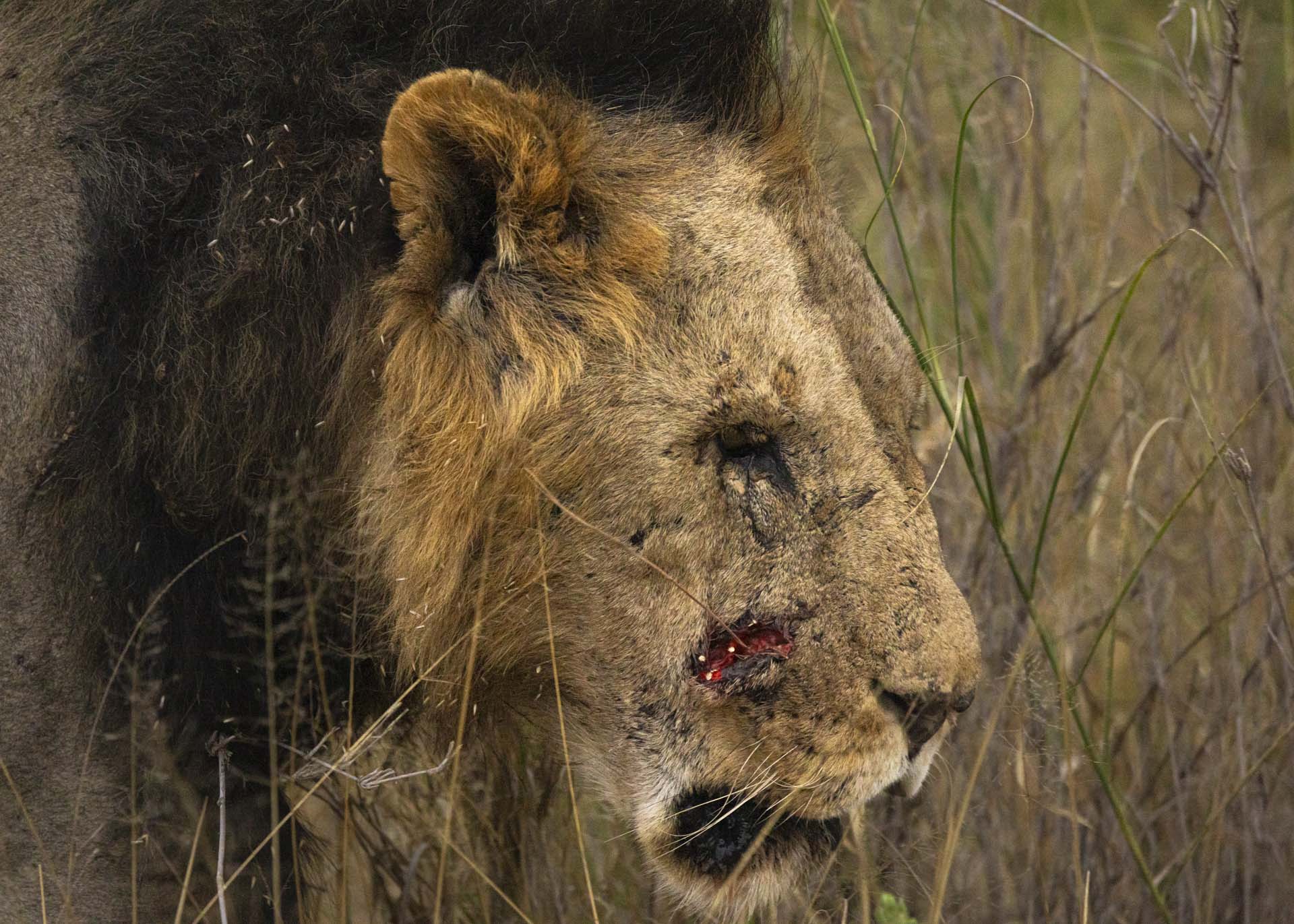 F6.3, 1/1000, ISO3200 | Arnold Omondi