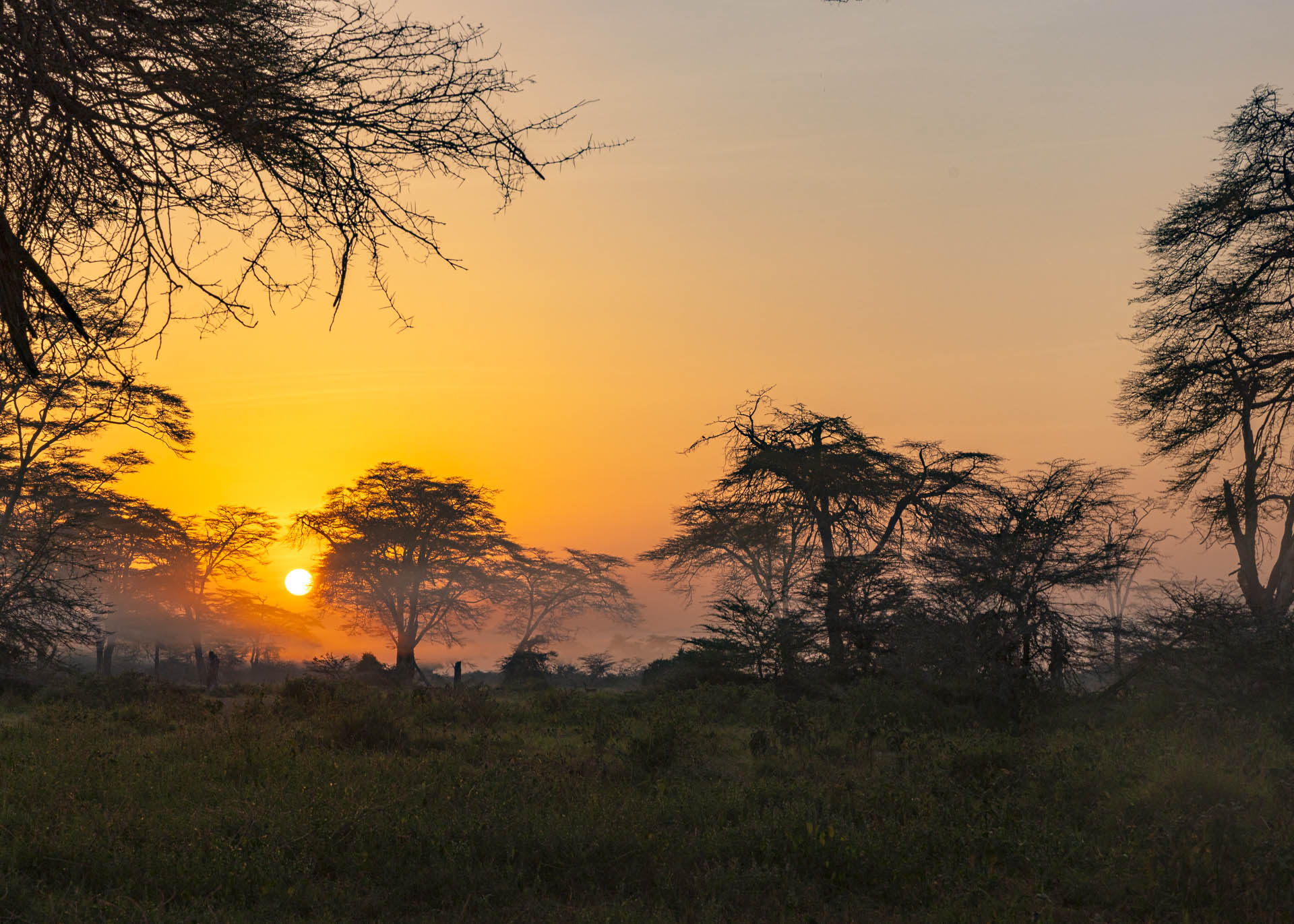 F11, 1/400, ISO500 | Arnold Omondi