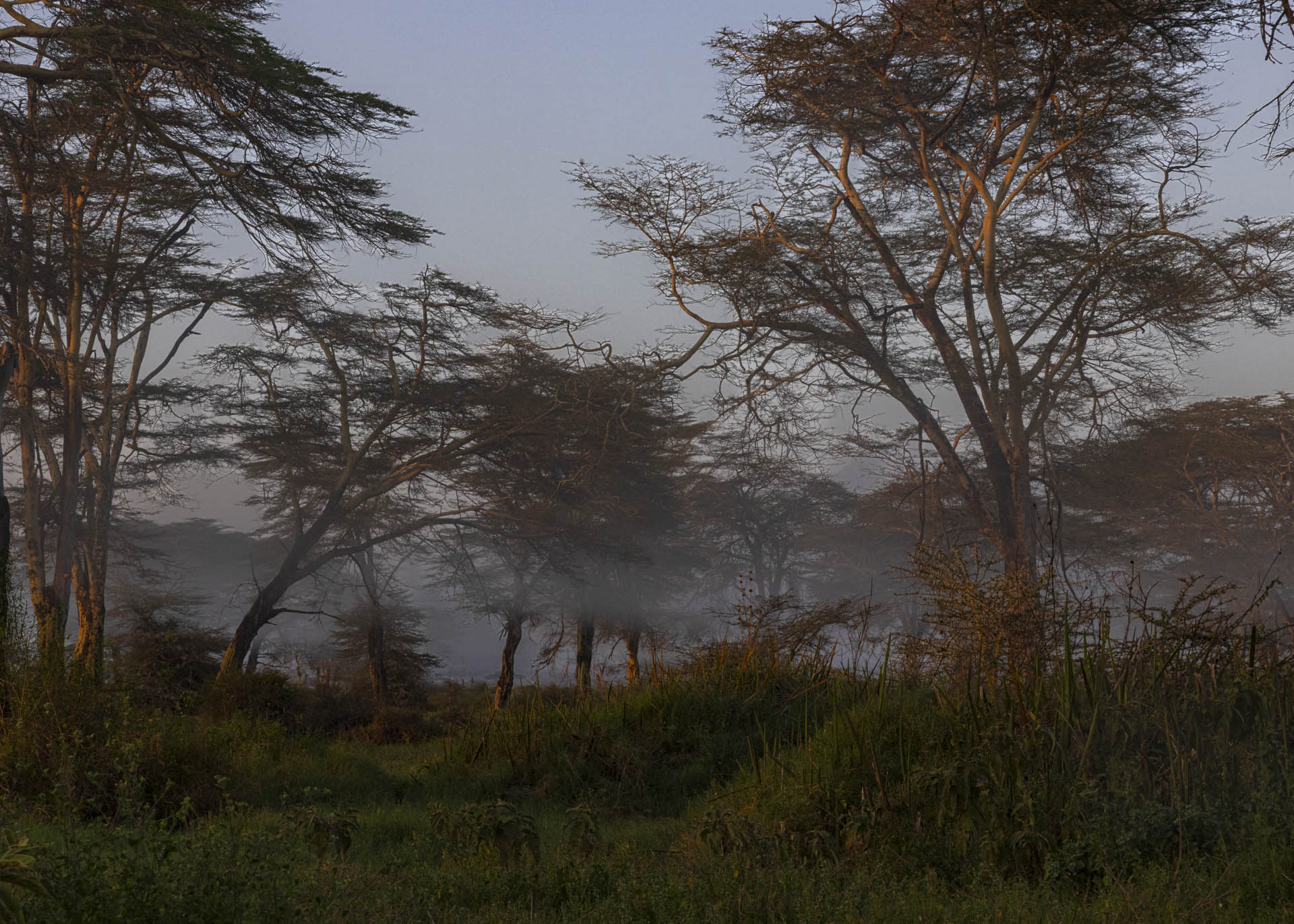 F18, 1/200, ISO800 | Arnold Omondi