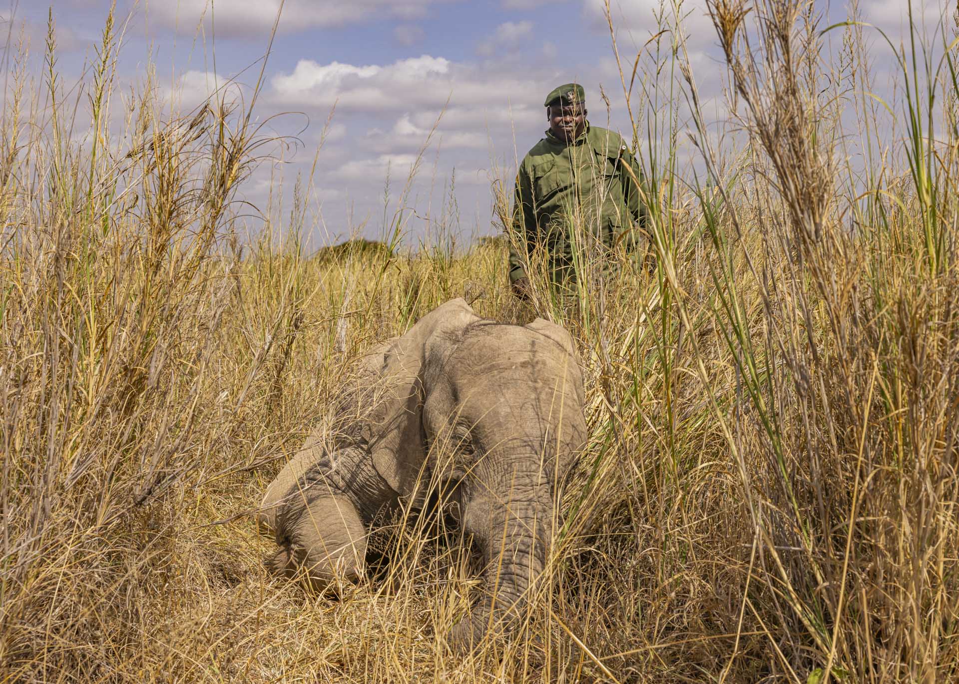 F8.0, 1/800, ISO160 | Arnold Omondi