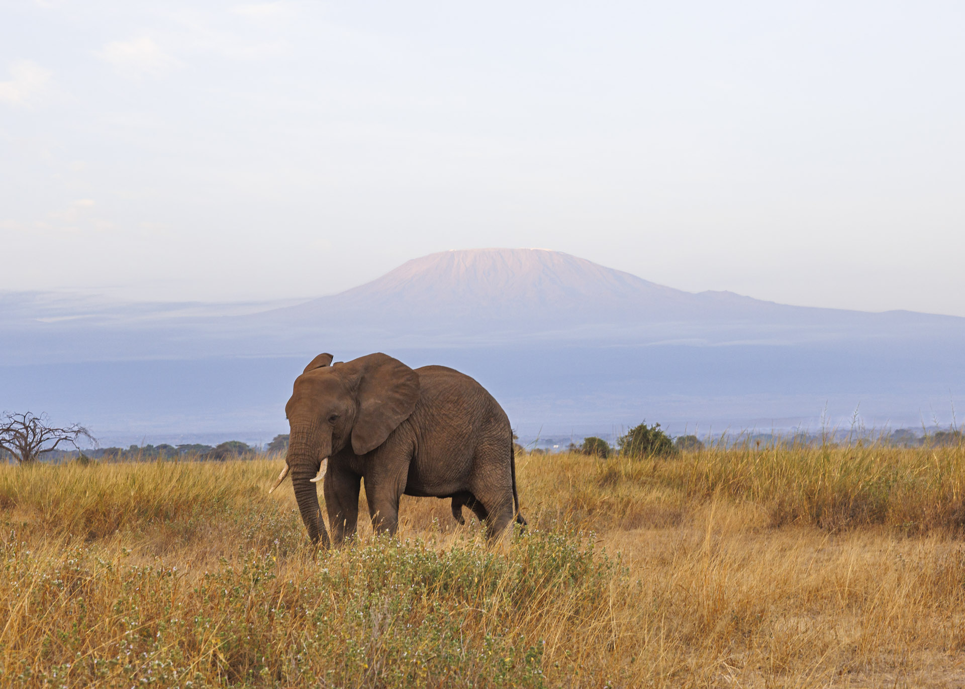 F7.1, 1/125, ISO320 | Arnold Omondi 