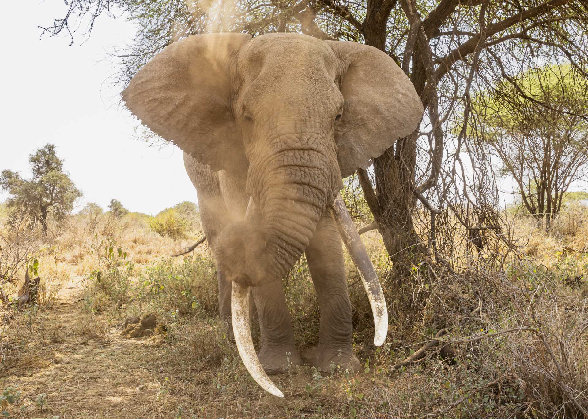 F13, 1/250, ISO1000 | Arnold Omondi 