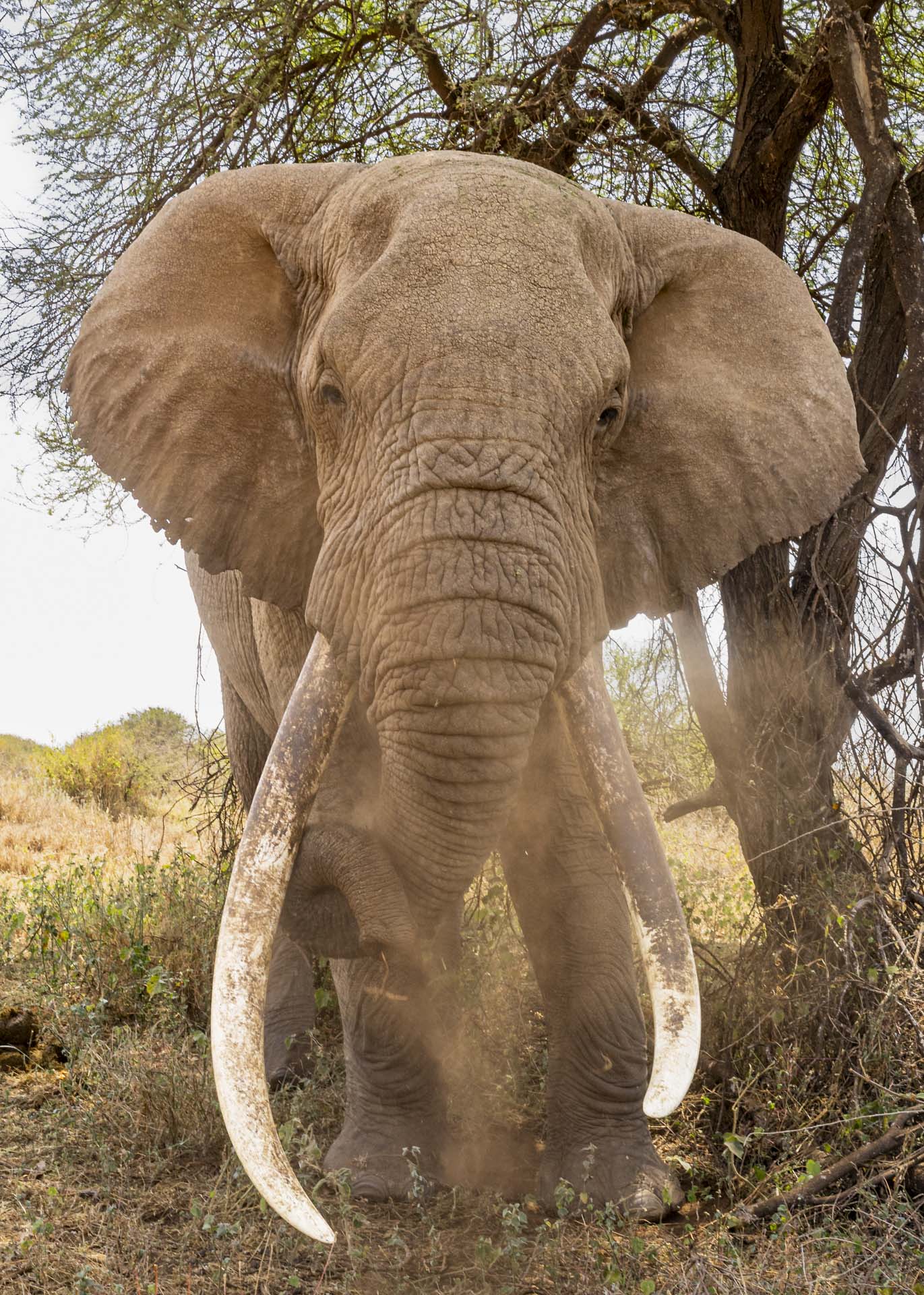 F13, 1/200, ISO1000 | Arnold Omondi 