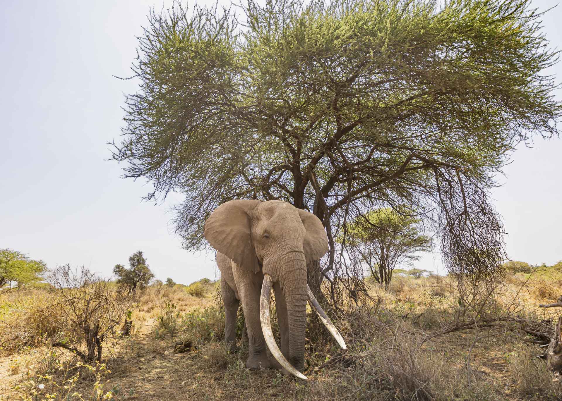 F2.8, 1/1000, ISO100 | Arnold Omondi 