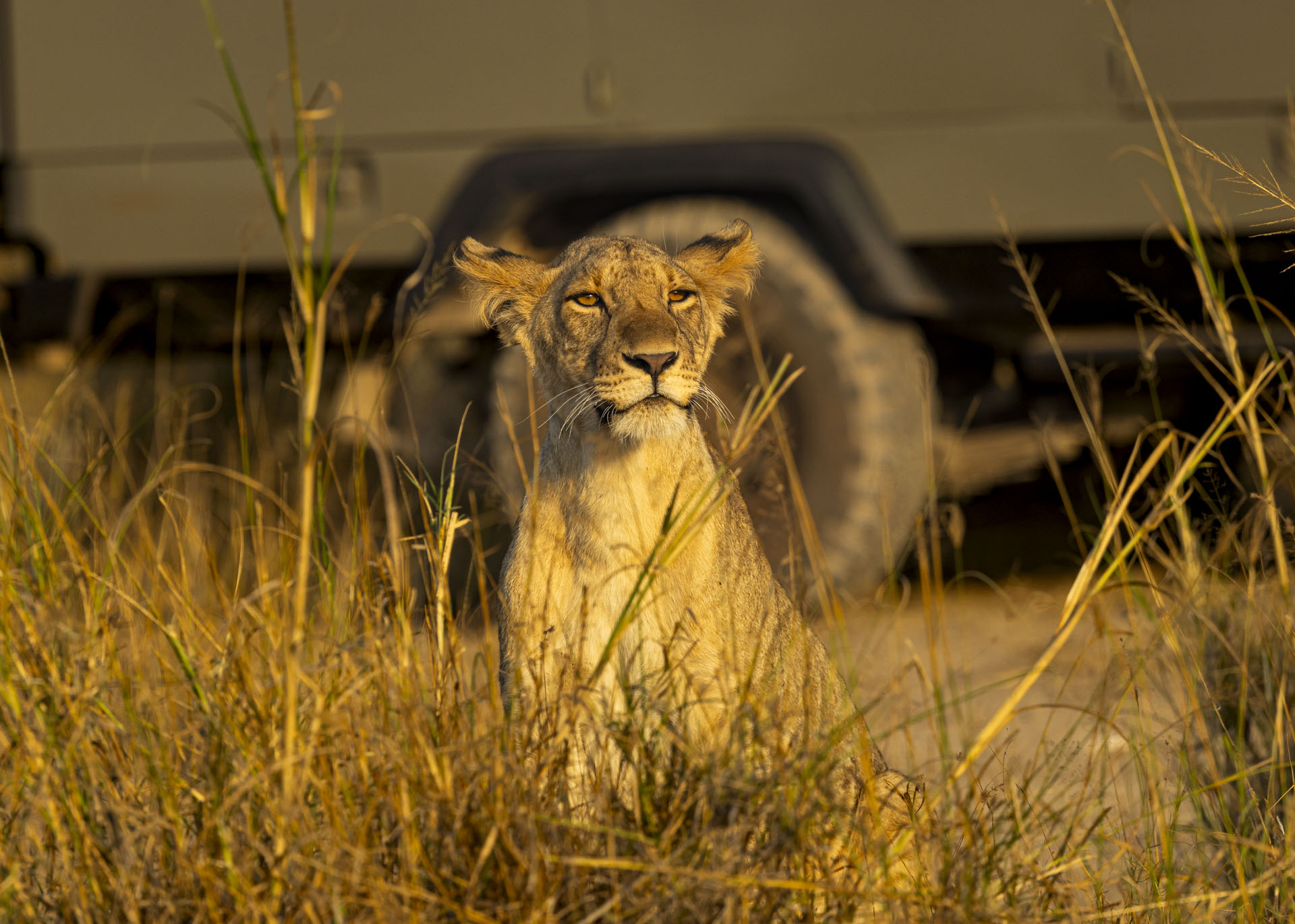 F8, 1/1000, ISO400 | Arnold Omondi 