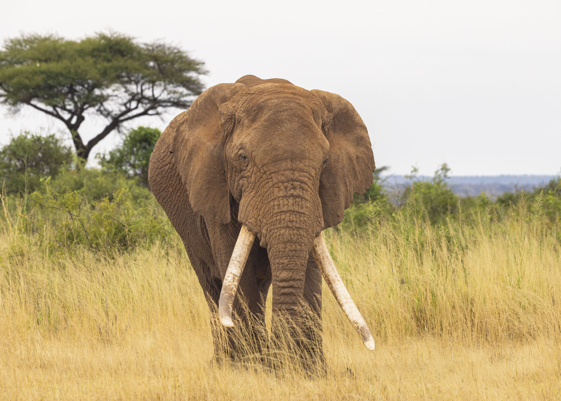 F7.1, 1/640, ISO500 | Arnold Omondi