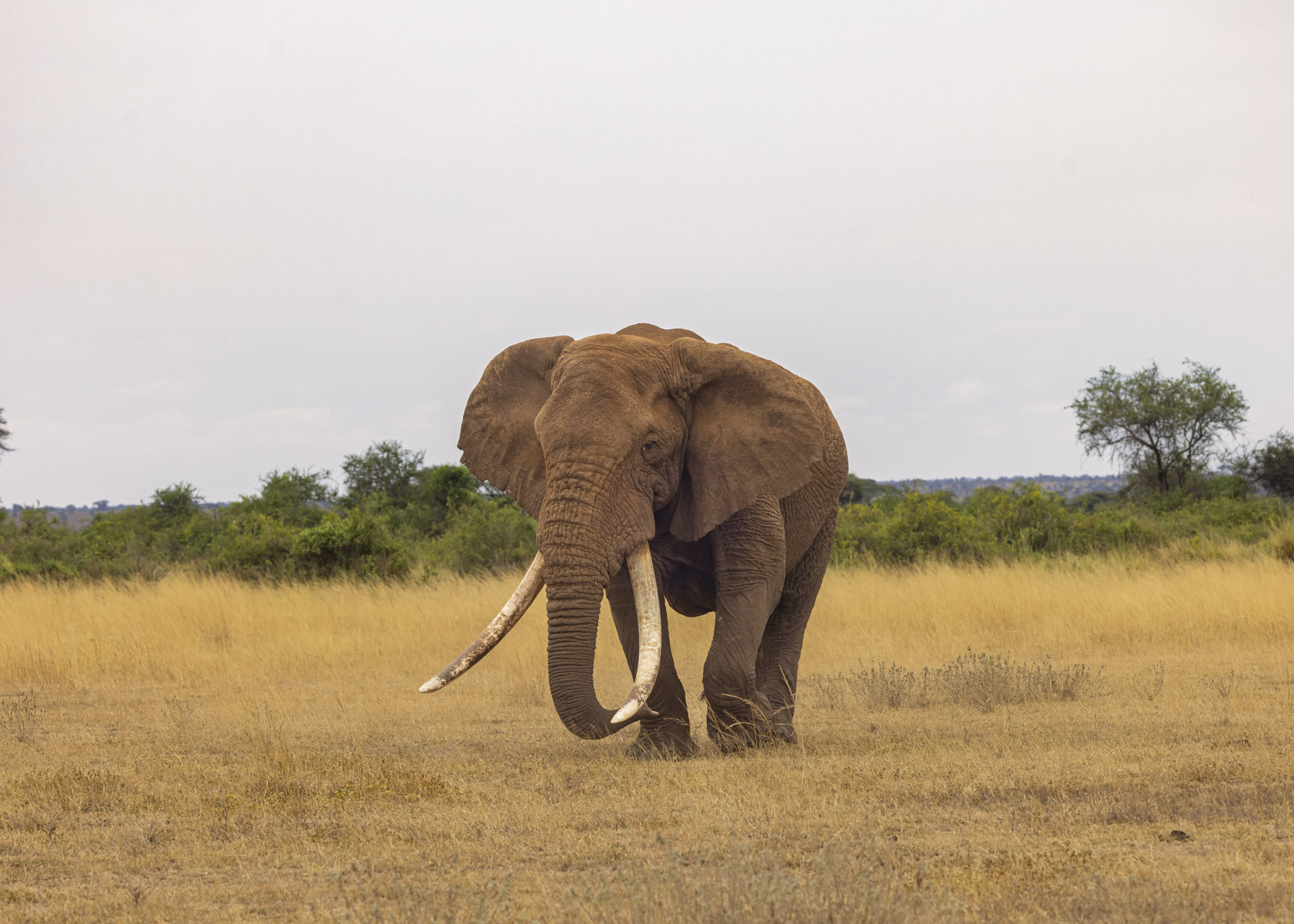 F7.1, 1/640, ISO400 | Arnold Omondi