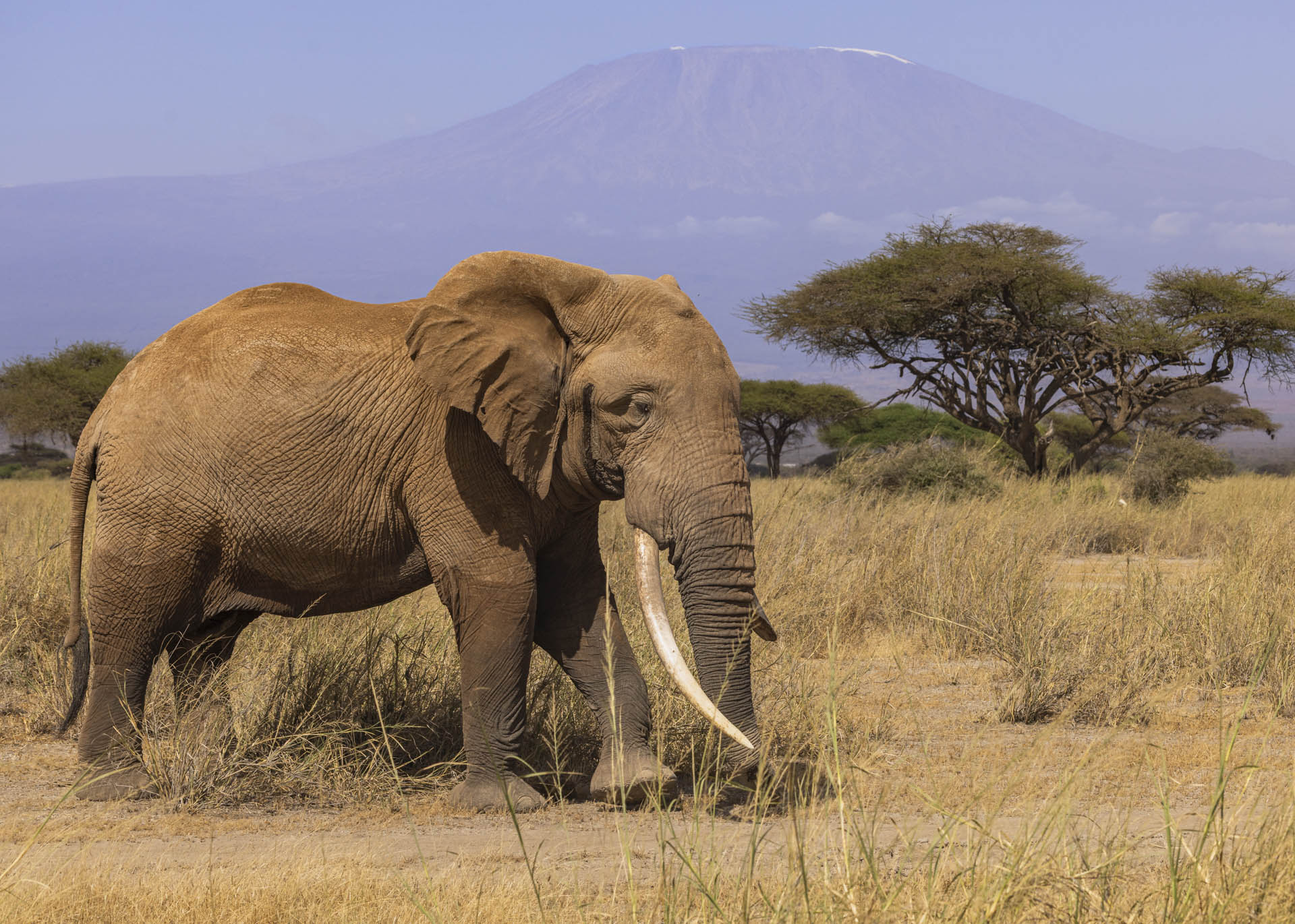 F9.0, 1/1000, ISO250 | Arnold Omondi