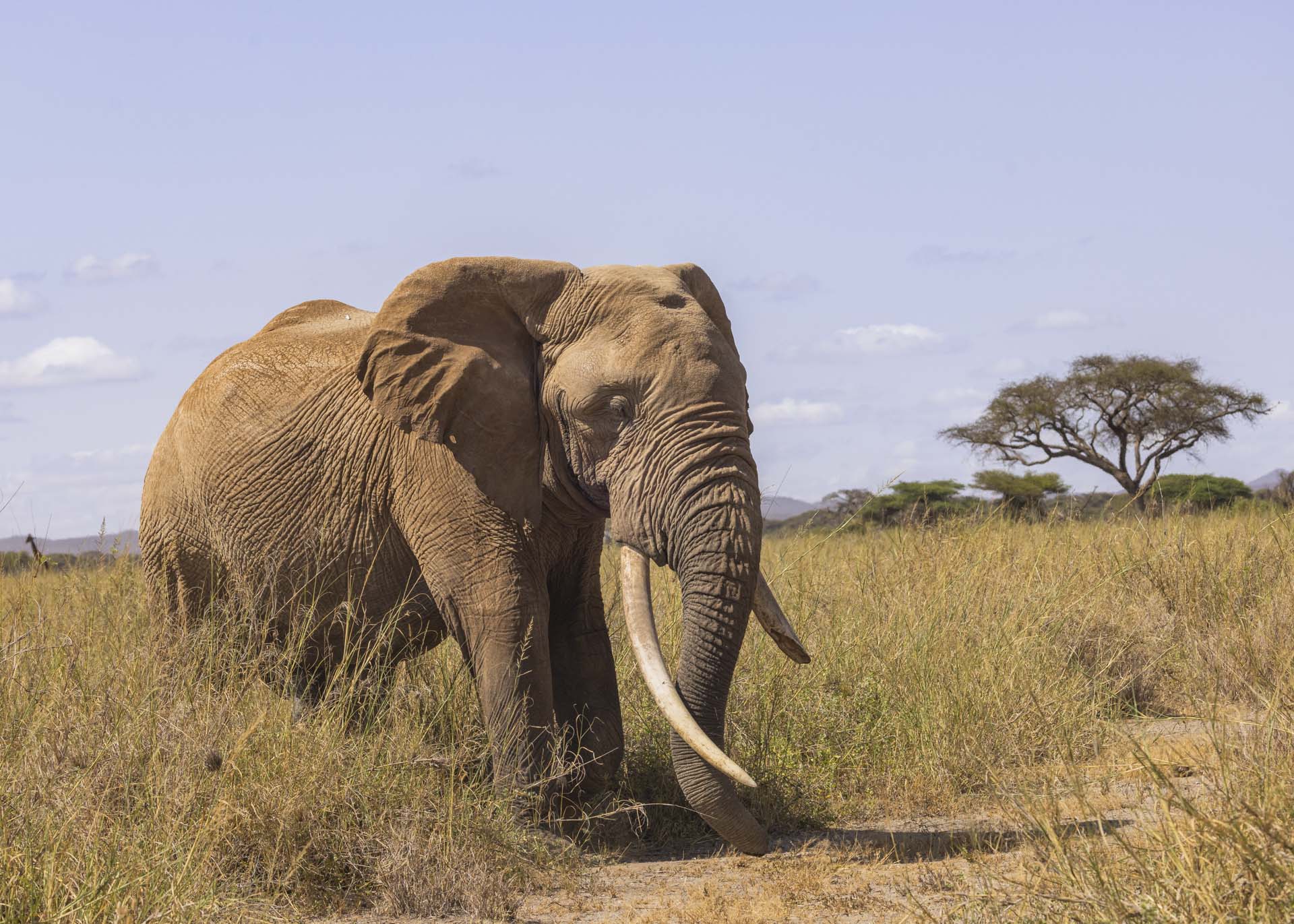F9.0, 1/1000, ISO250 | Arnold Omondi