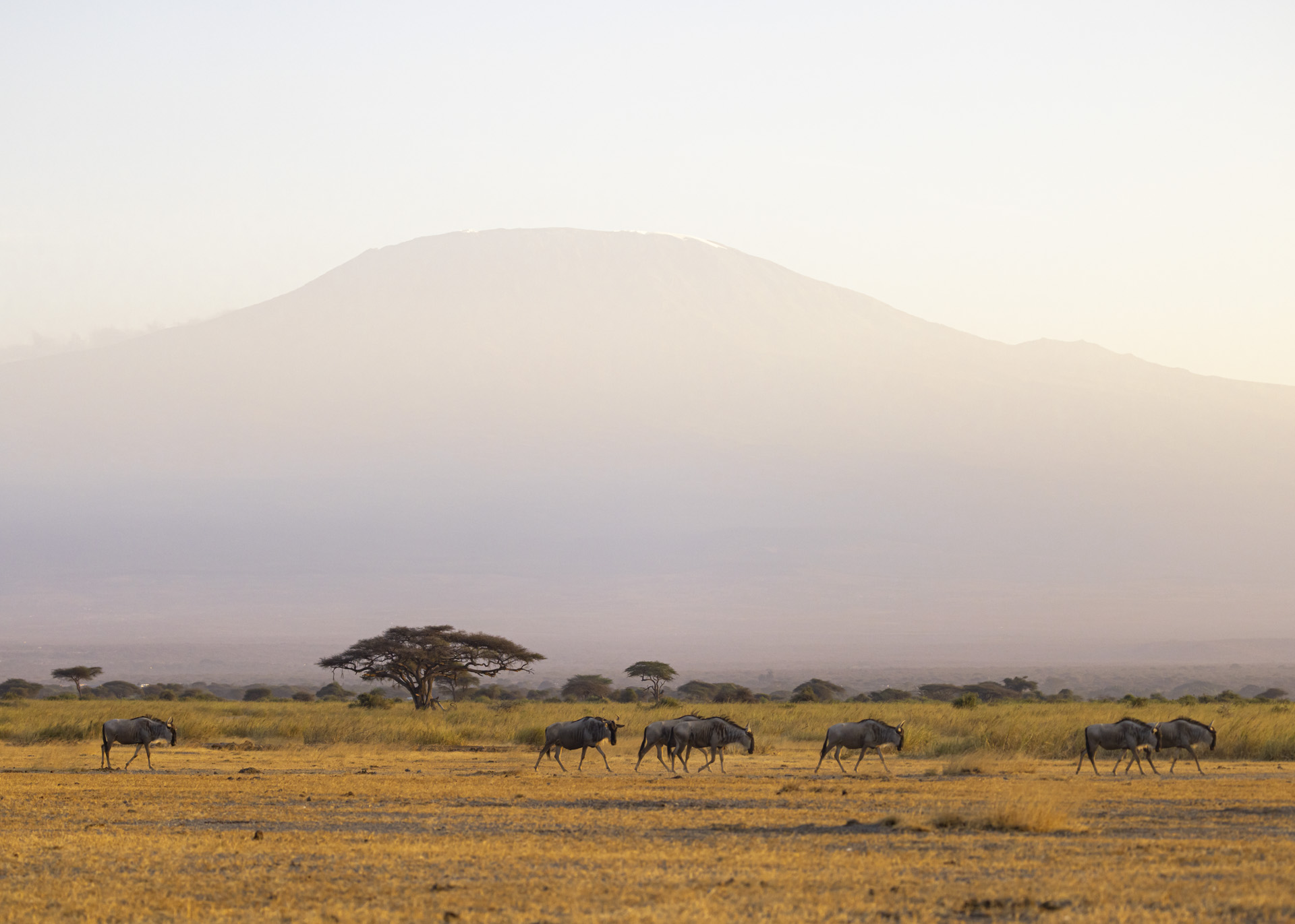 F4.5, 1/1000, ISO500 | Arnold Omondi