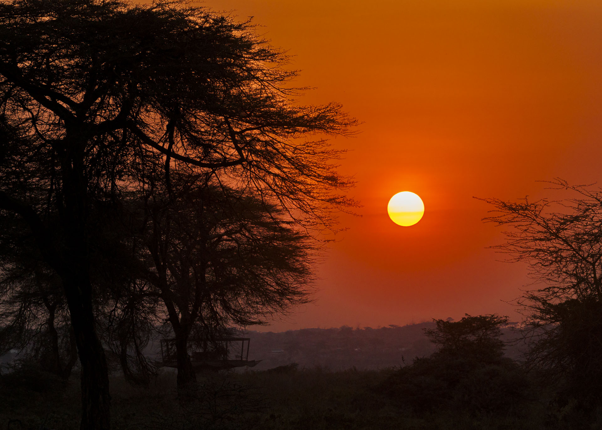 F16, 1/640, ISO1600 | Arnold Omondi