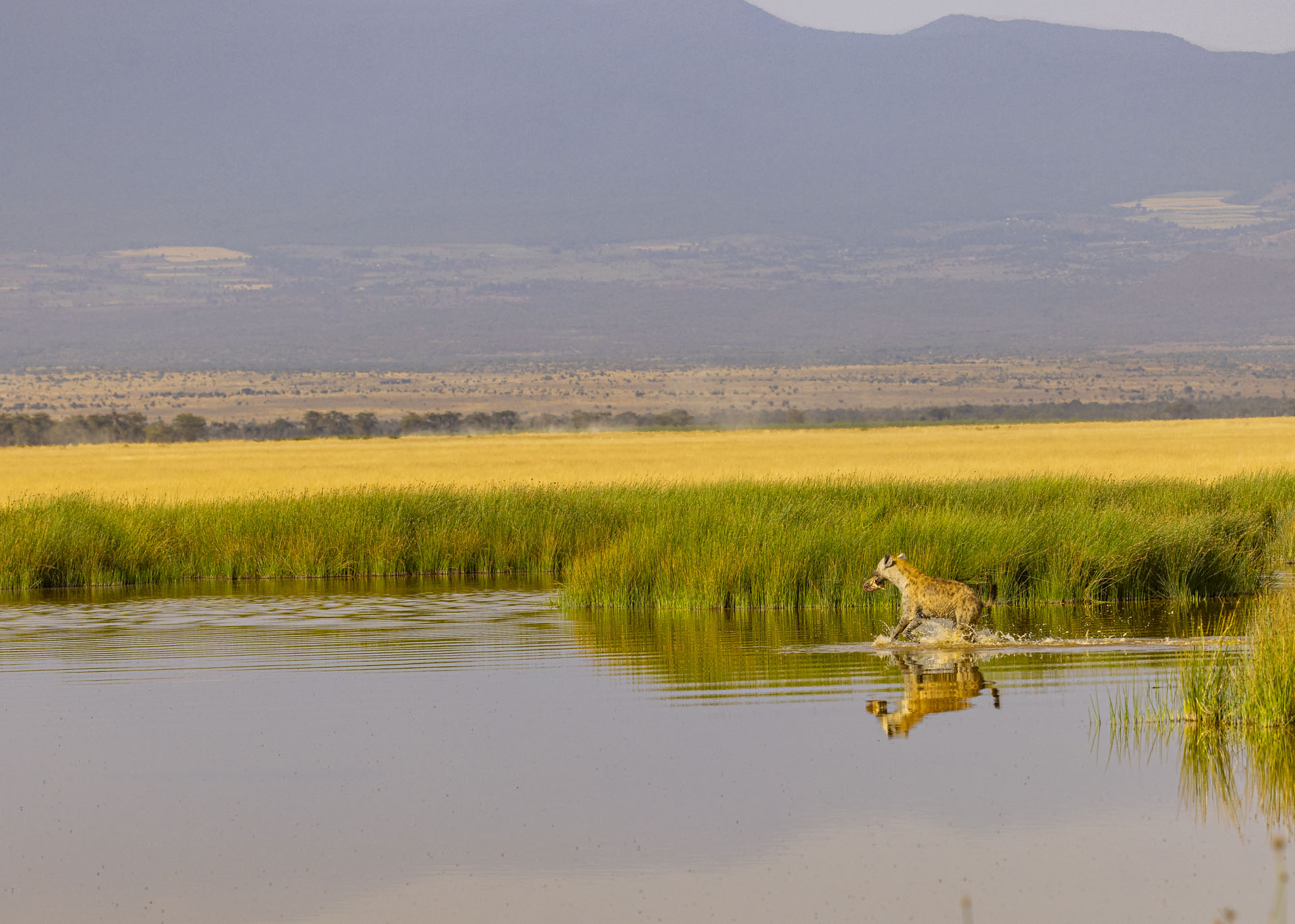 F6.3, 1/1000, ISO200 | Arnold Omondi 